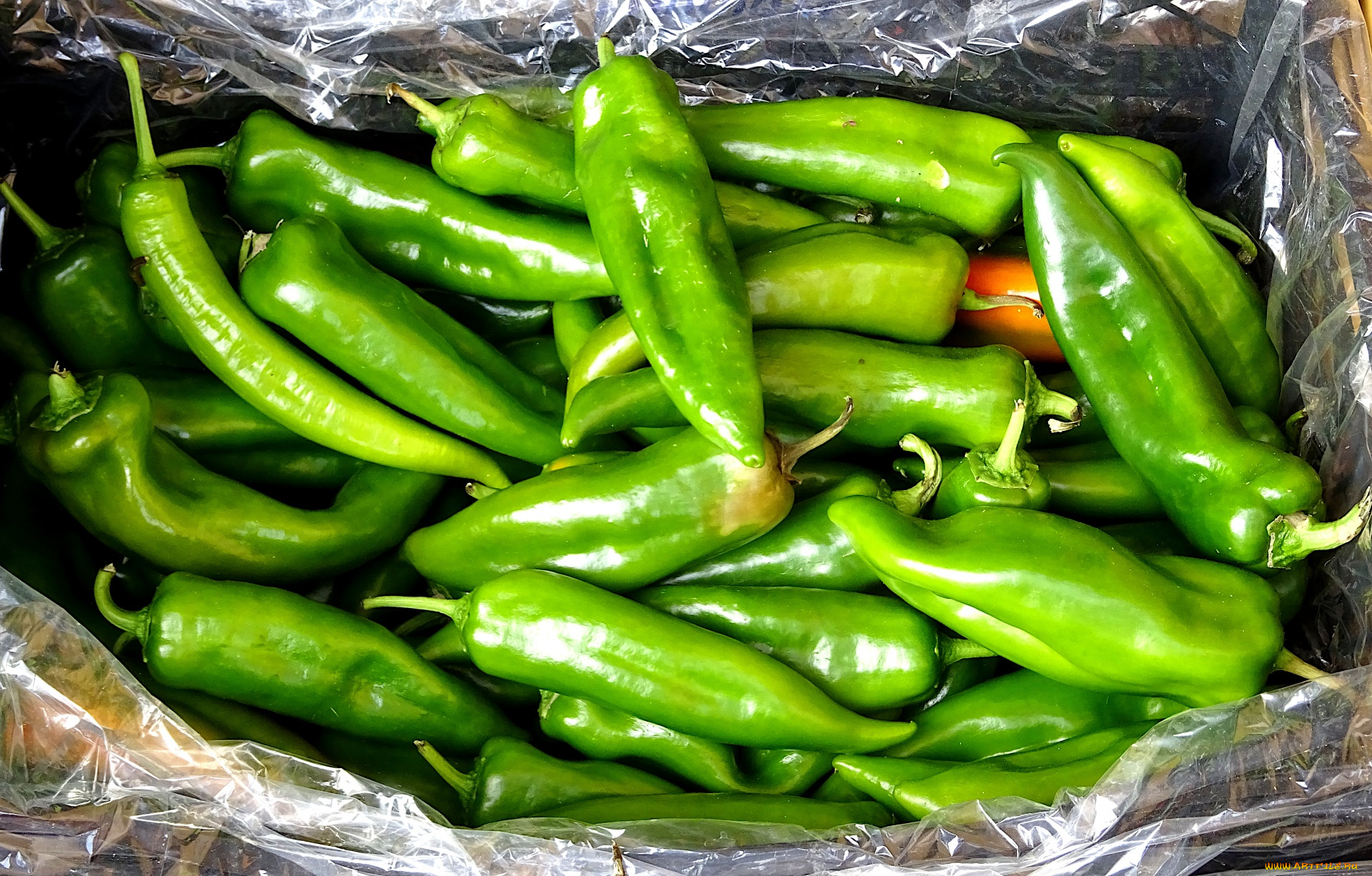 еда, перец, зеленый, стручки