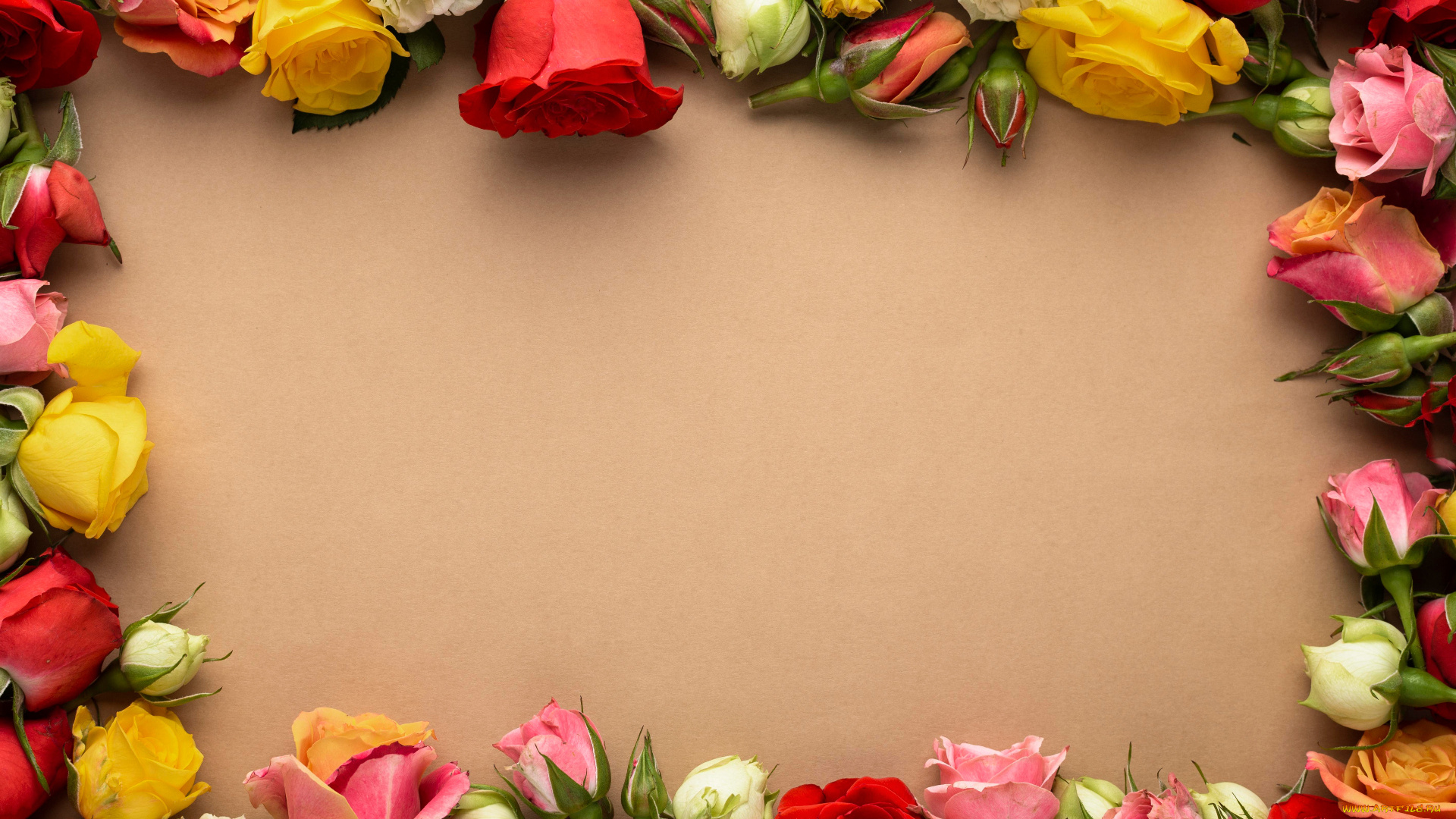 цветы, розы, рамка, бутоны, ассорти