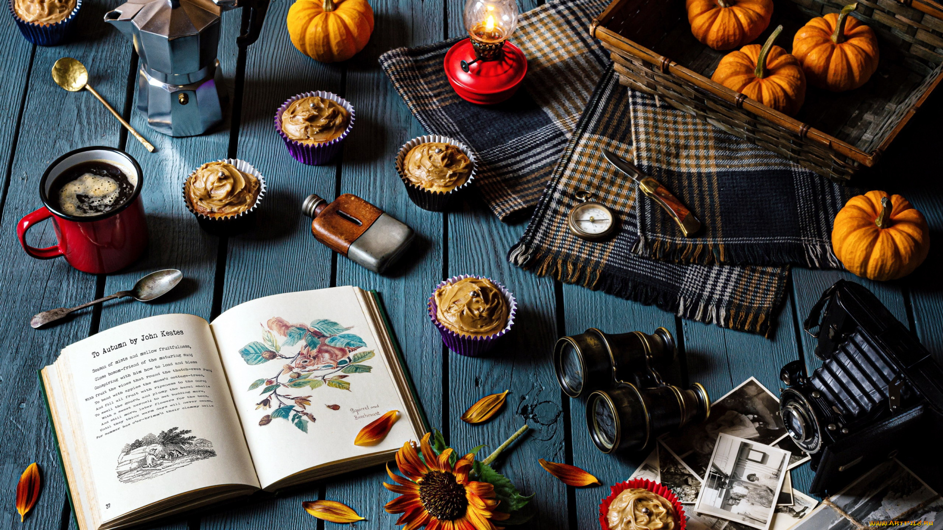 еда, натюрморт, кофе, кексы, тыквы, книга, фотокамера, бинокль