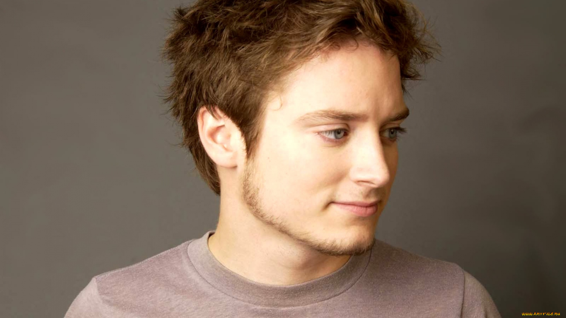 мужчины, elijah, wood, актер, лицо, футболка