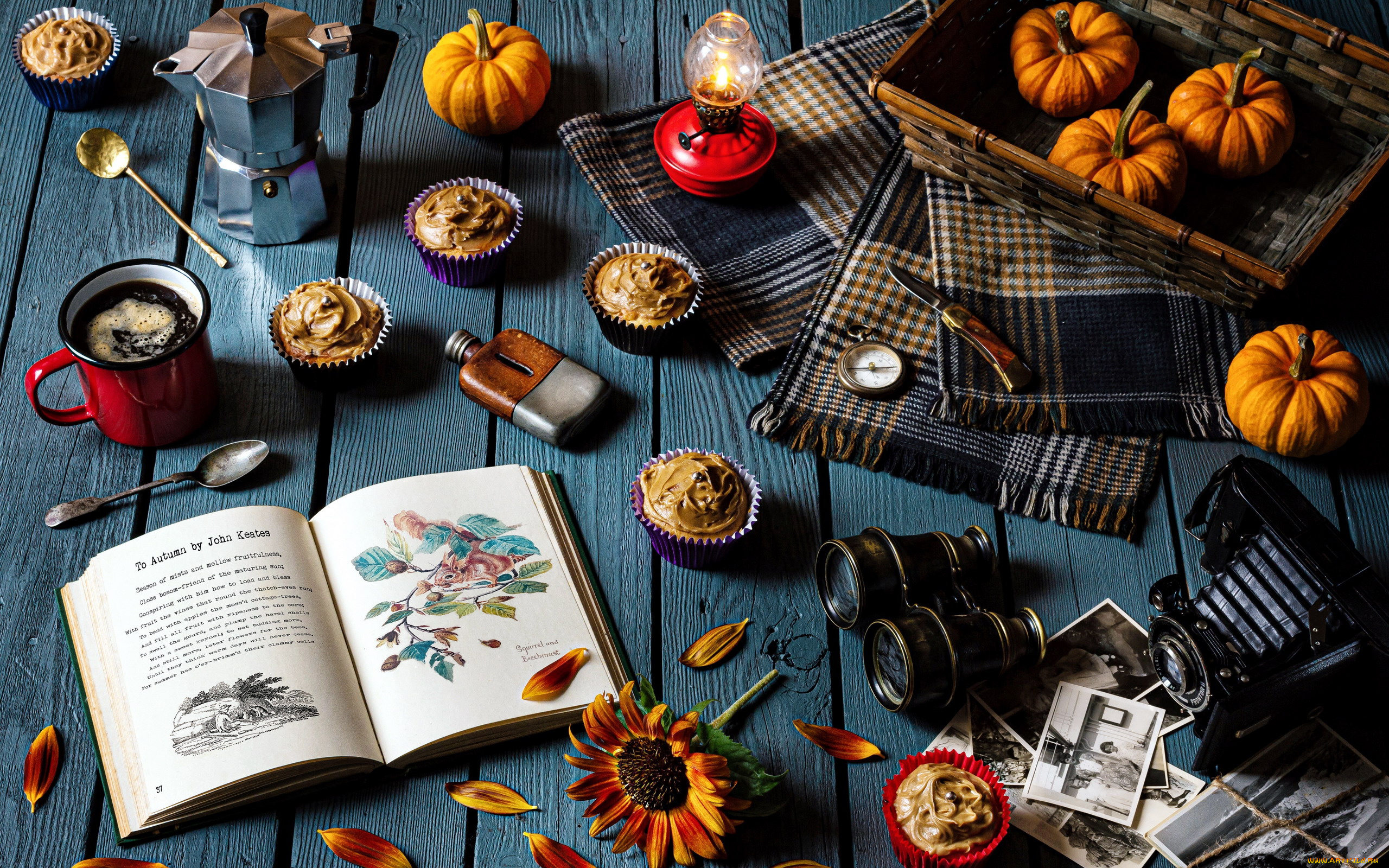 еда, натюрморт, кофе, кексы, тыквы, книга, фотокамера, бинокль
