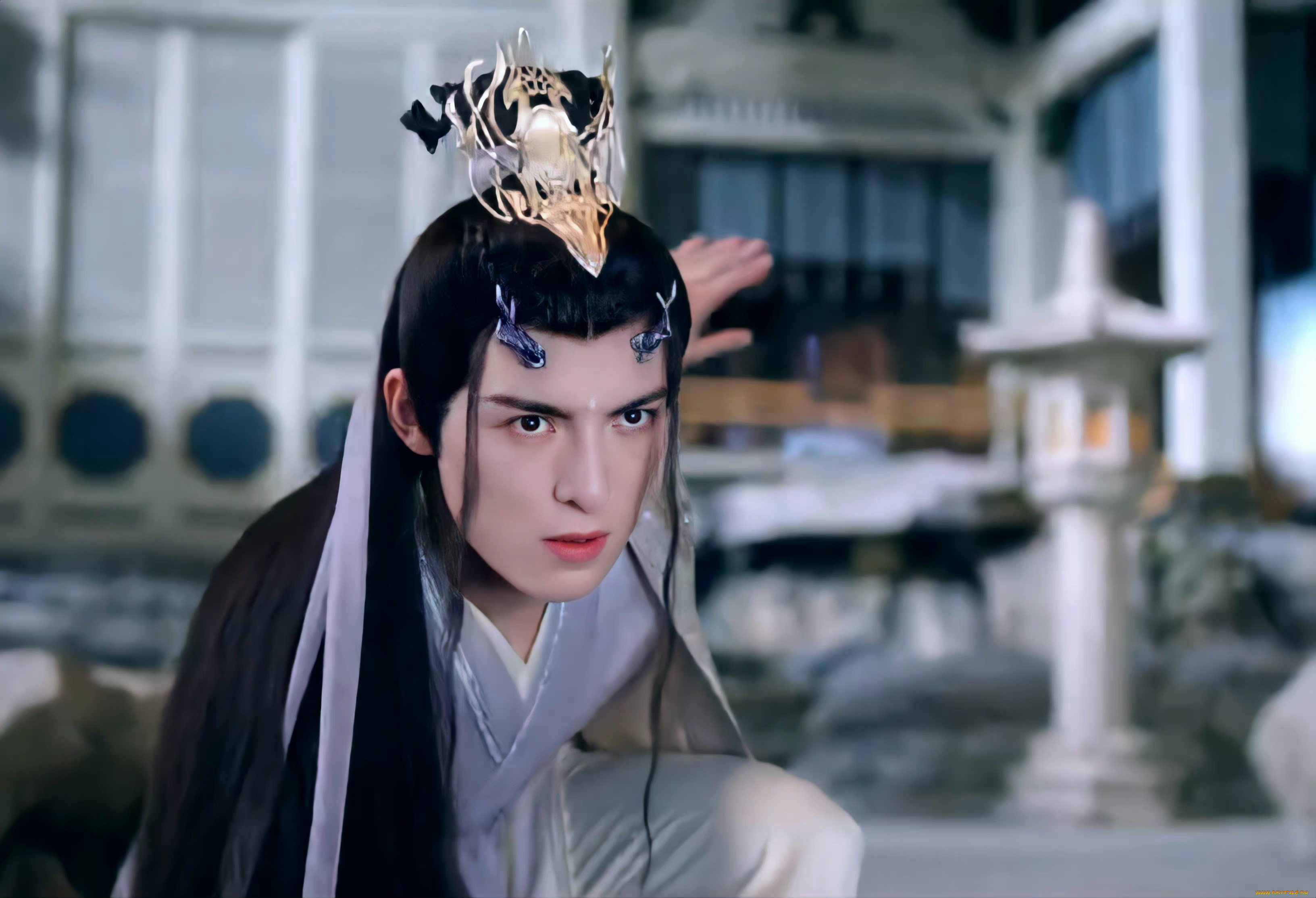 кино, фильмы, immortal, samsara, ван, хао, сюань, вечная, самсара, щепки, агарового, дерева