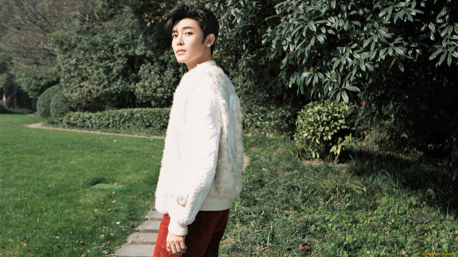 мужчины, hou, ming, hao, актер, куртка, сад