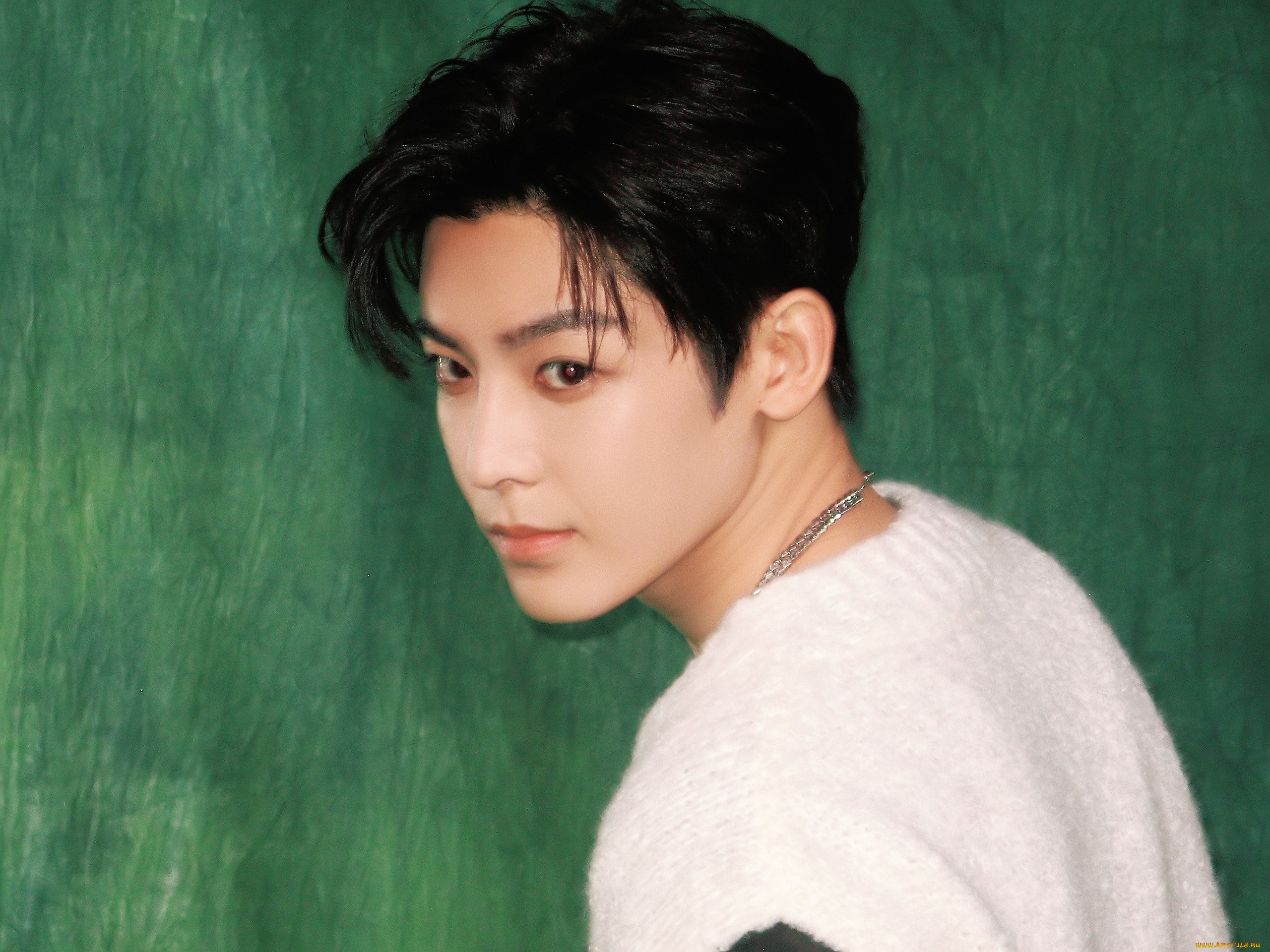 мужчины, hou, ming, hao, актер, лицо, свитер