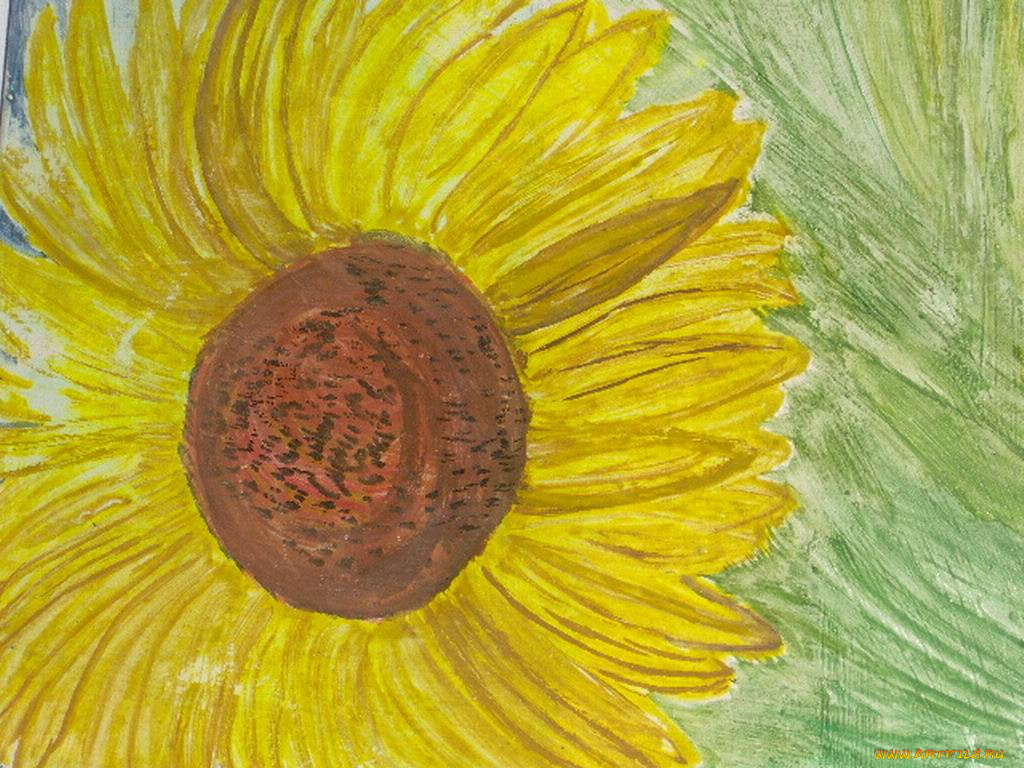 рисованные, цветы