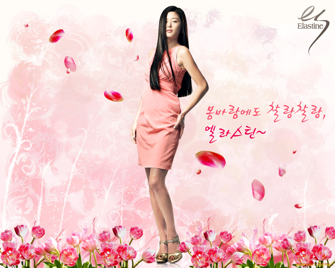 бренды, elastine