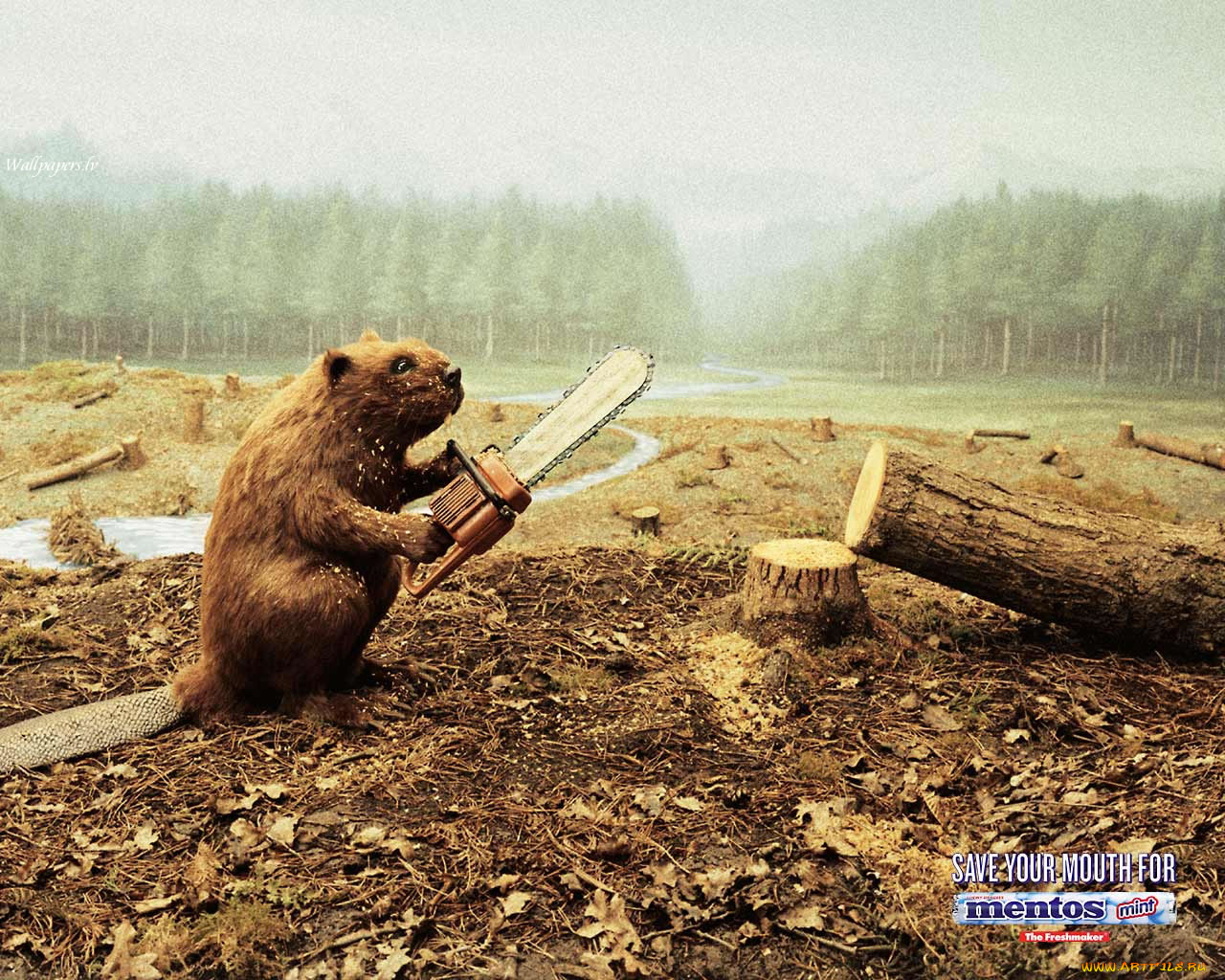 бренды, mentos