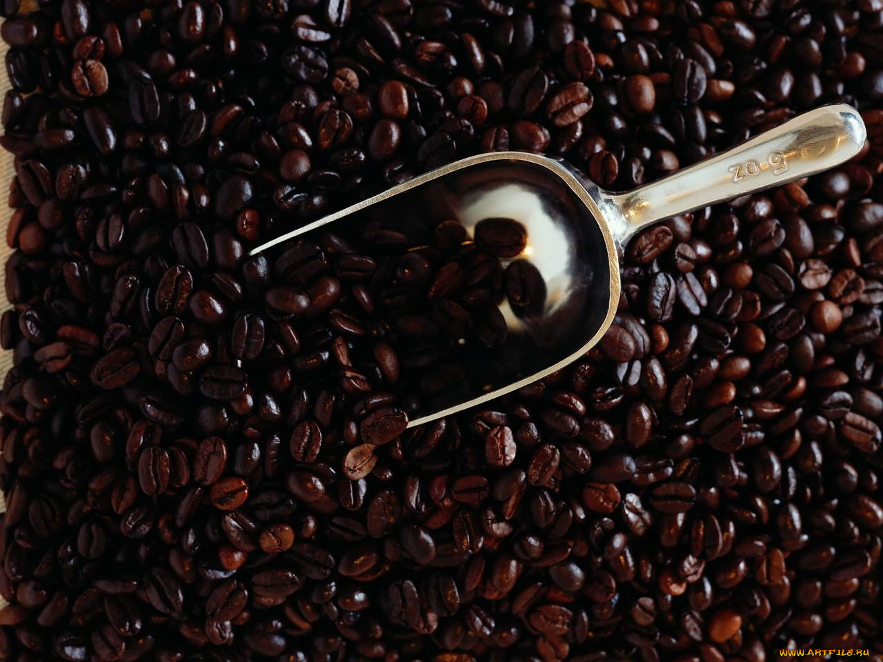 еда, кофе, кофейные, зёрна