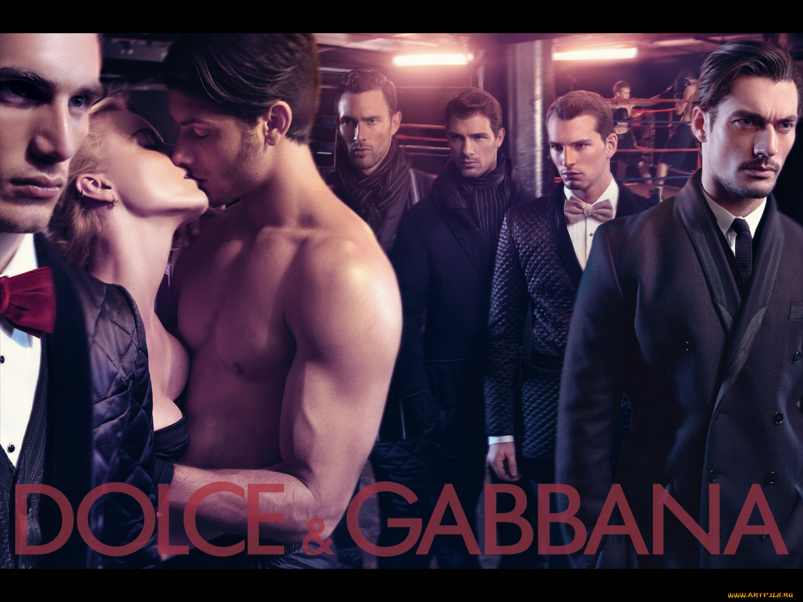 бренды, dolce, gabbana