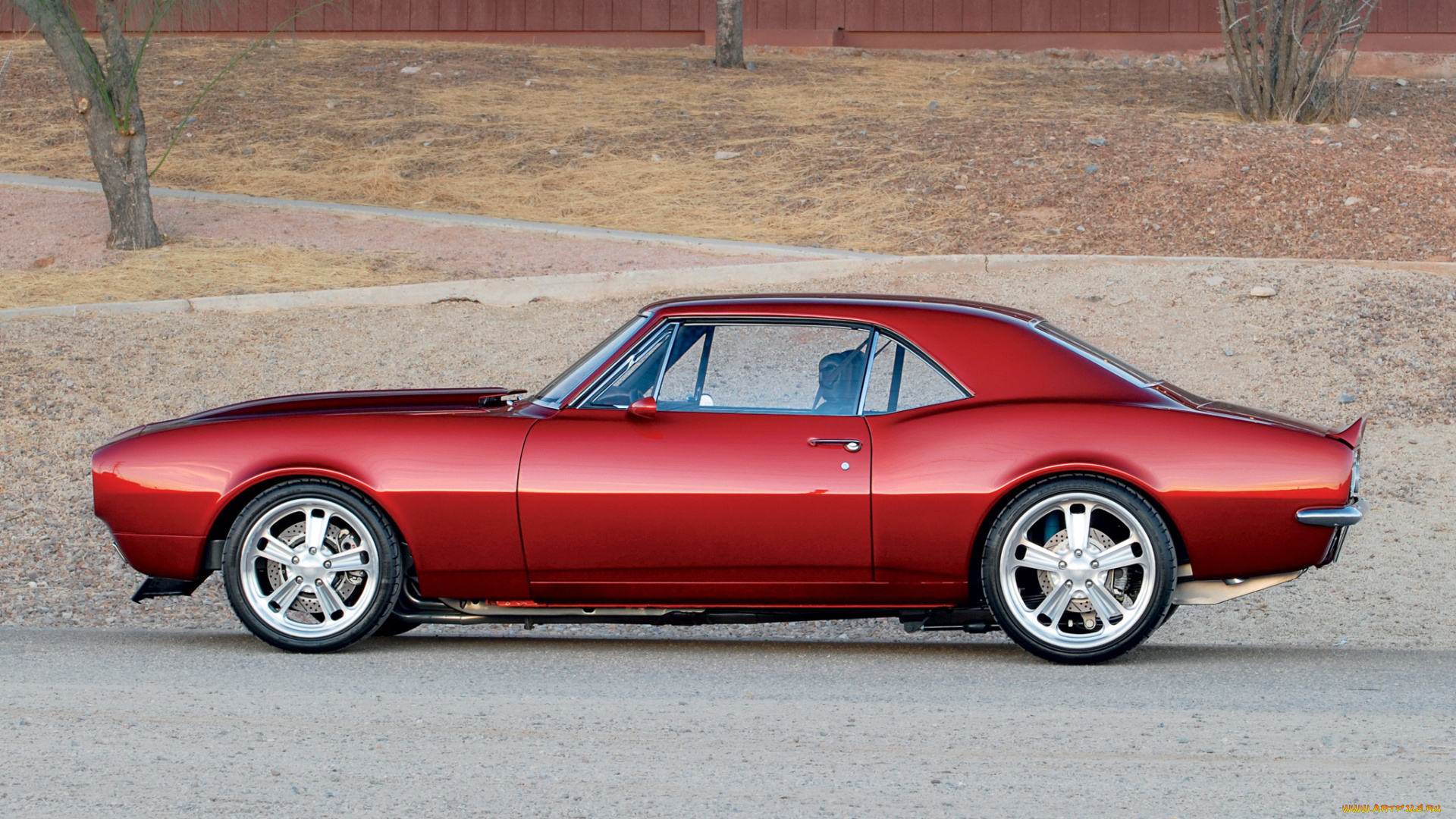 автомобили, camaro