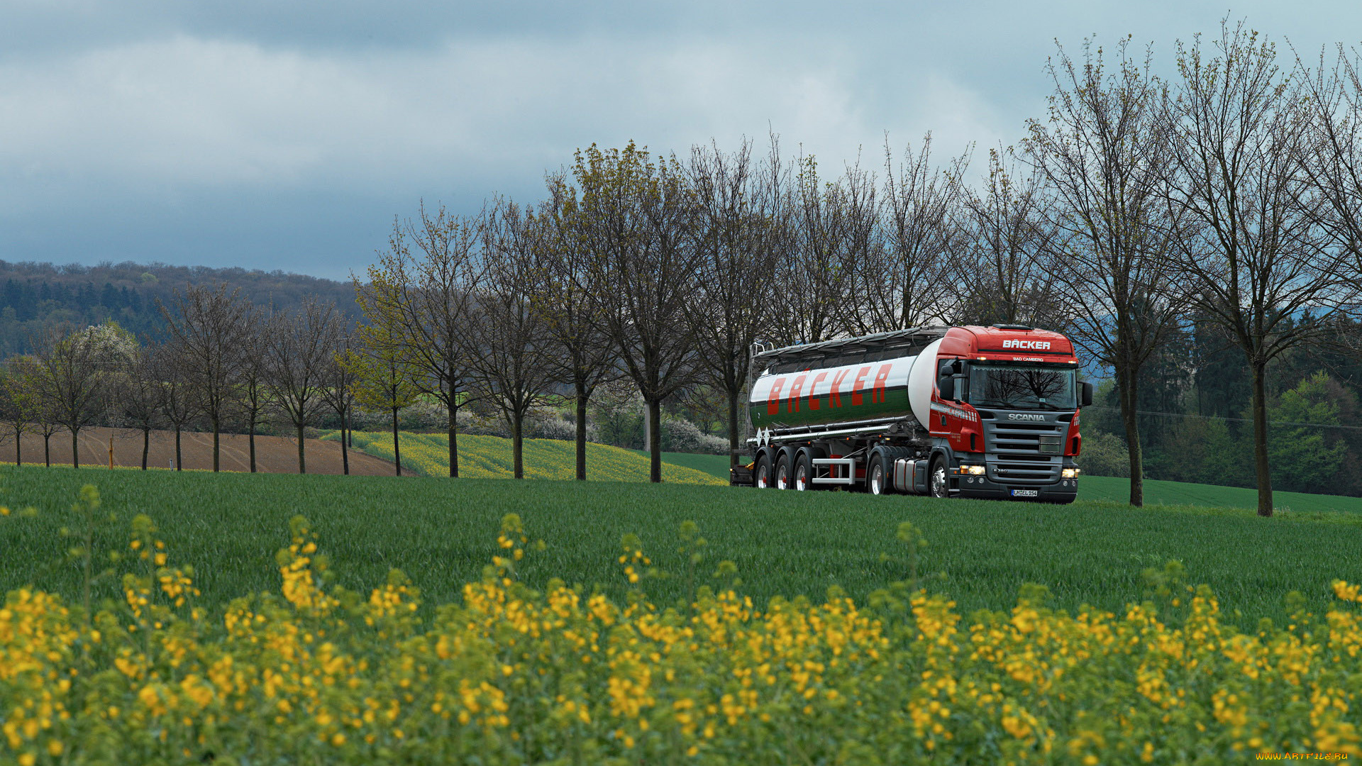 автомобили, scania