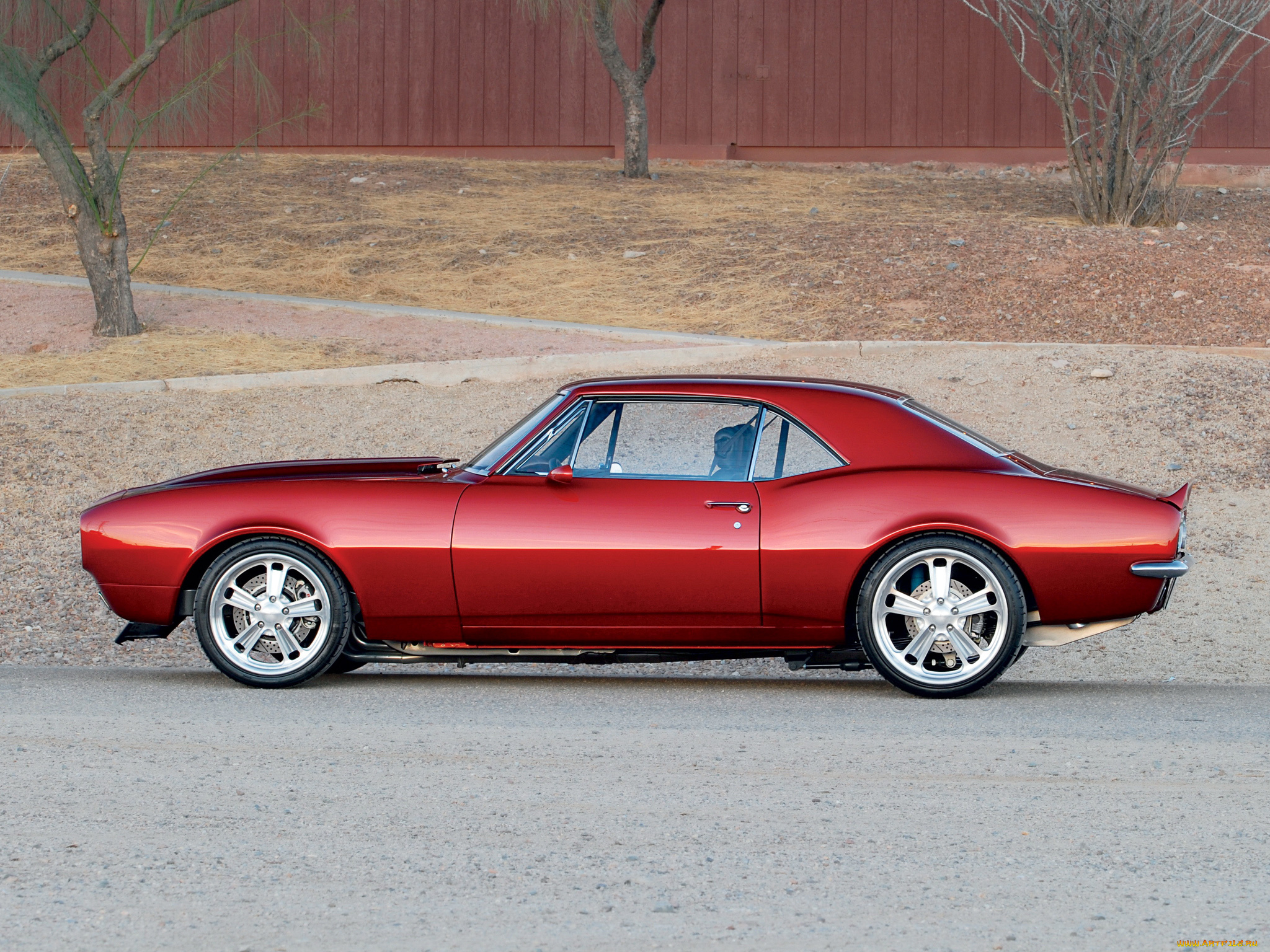 автомобили, camaro