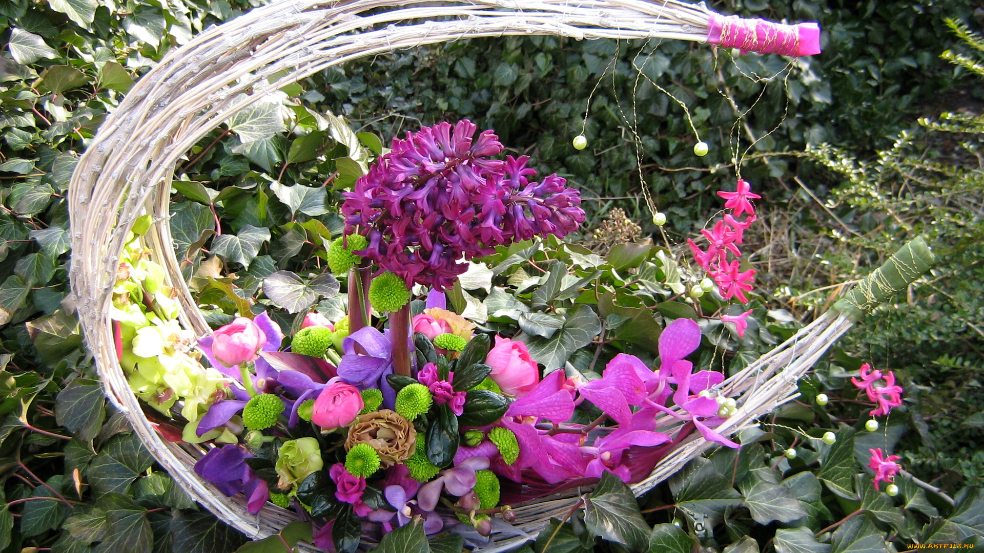 цветы, букеты, композиции, букет