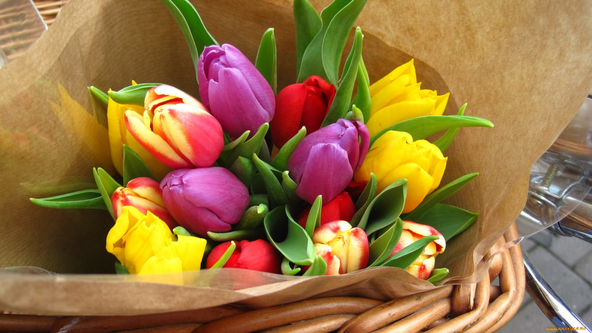 цветы, тюльпаны, желтый, сиреневый, красный
