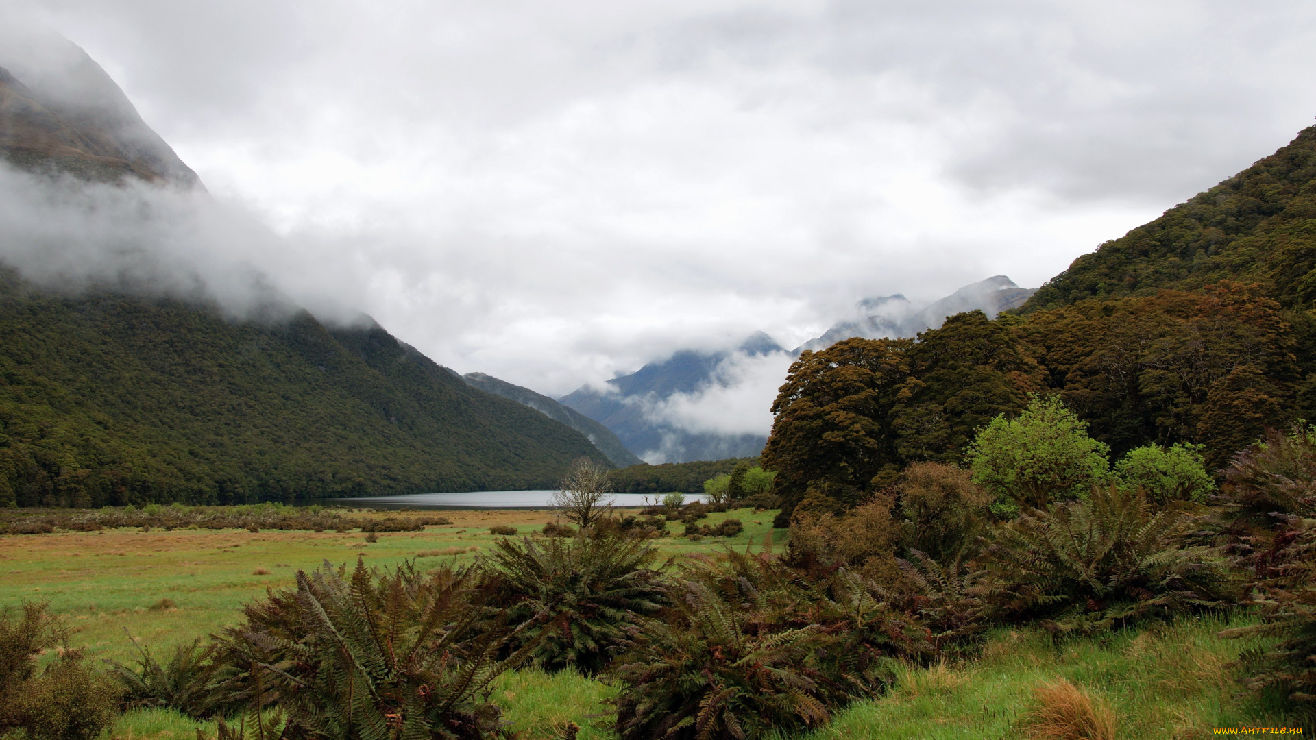fiordland, national, park, новая, зеландия, природа, горы, дымка