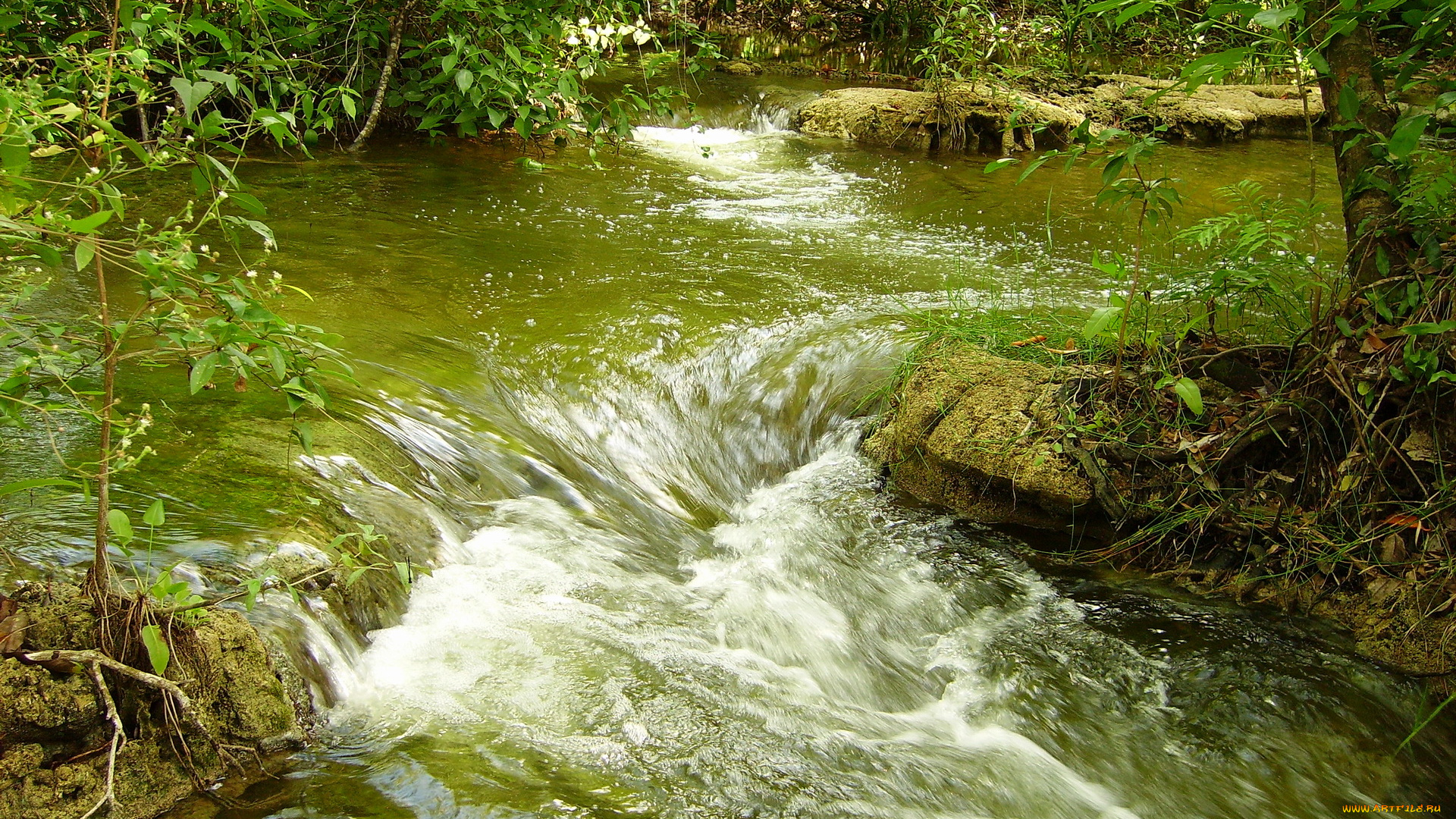 мексика, канделария, природа, реки, озера, река, поток