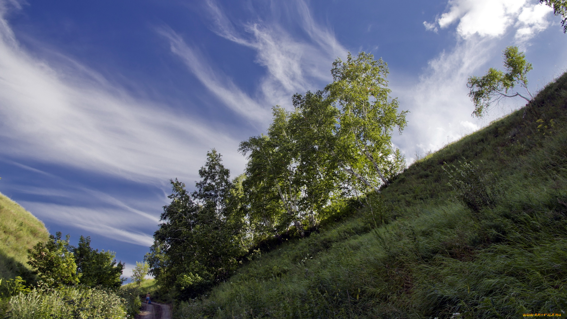 природа, дороги, небо, лето, дорога, пейзаж