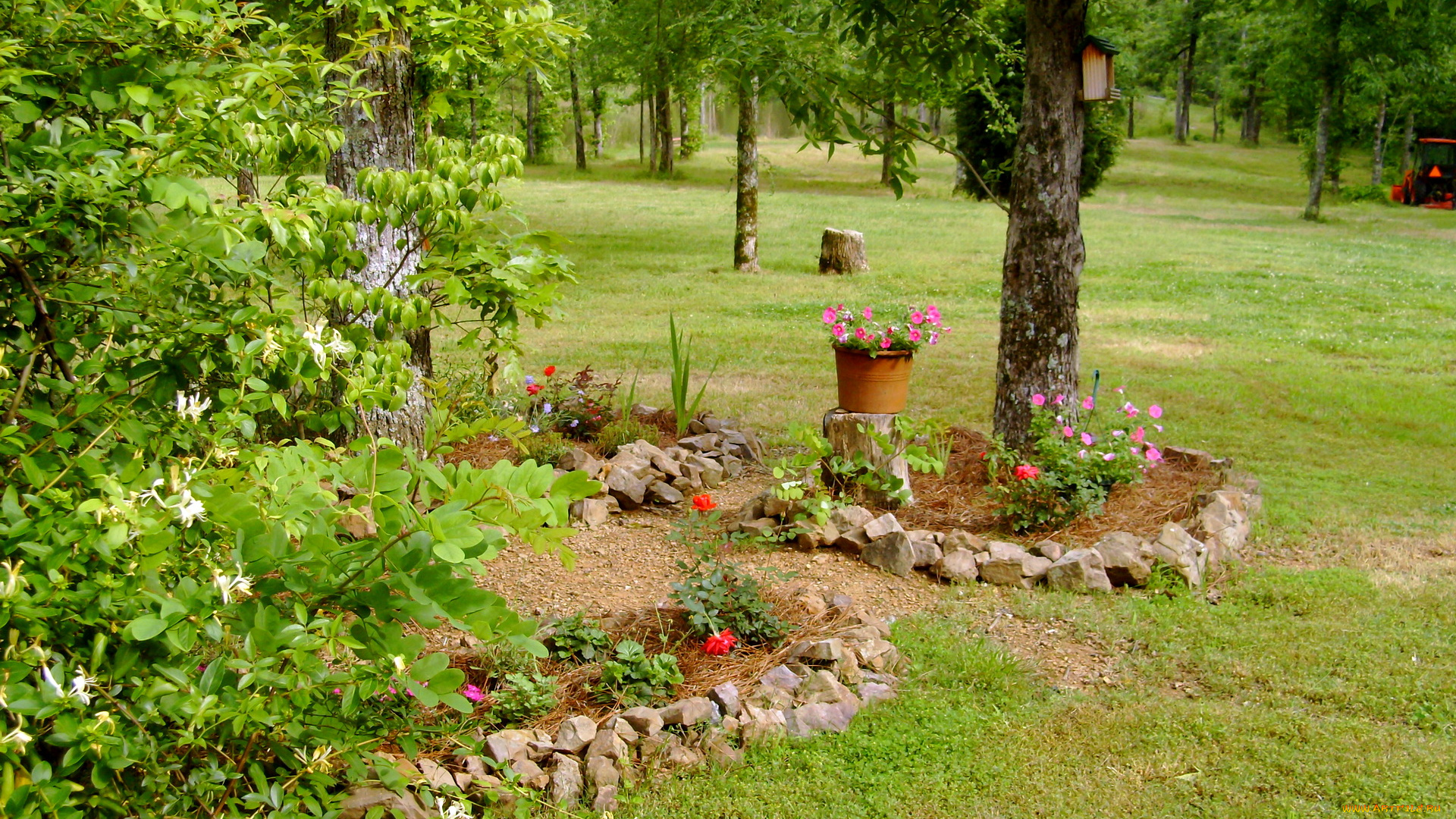 природа, парк, цветы, деревья
