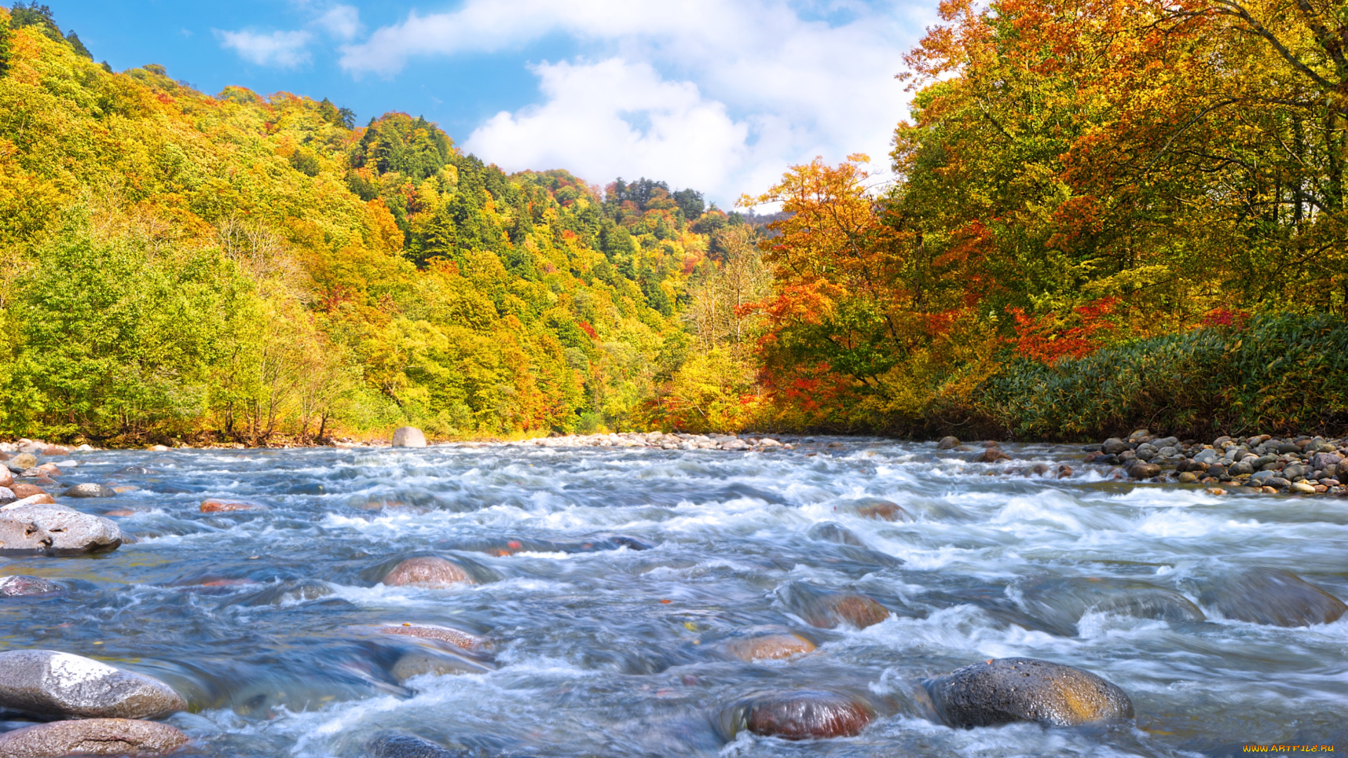 природа, реки, озера, вода, осень, деревья, течение, камни