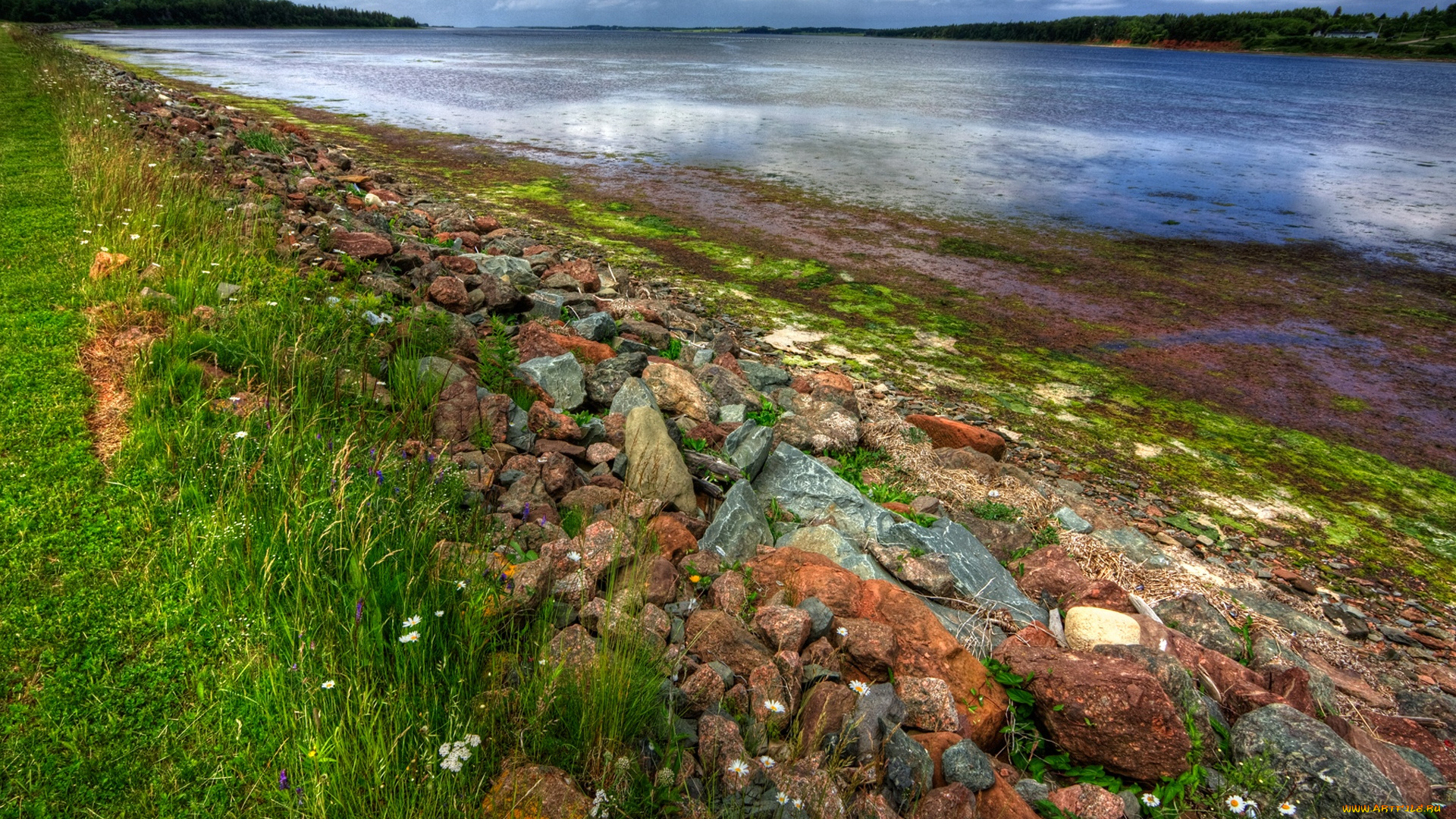 st, peter`s, bay, природа, реки, озера, берег, трава, камни, река