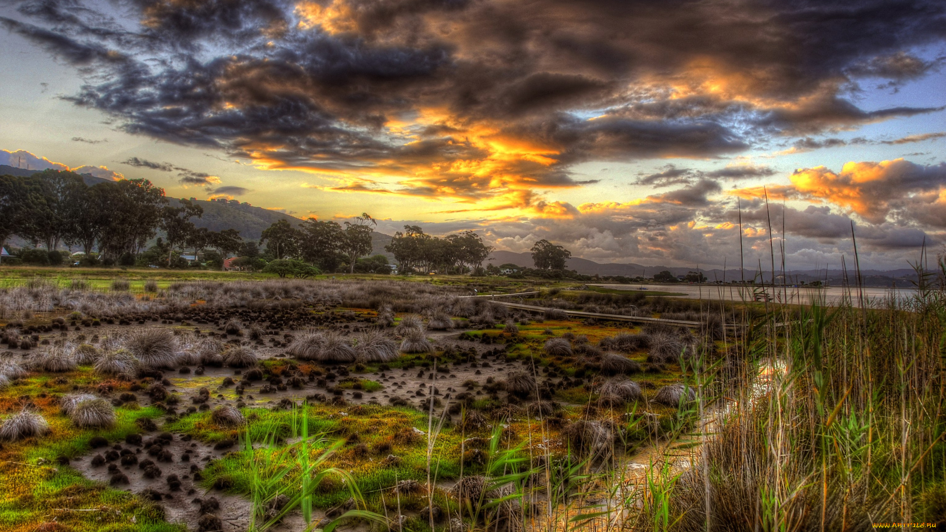 sunset, природа, побережье, трава, скамейка, озеро, кочки