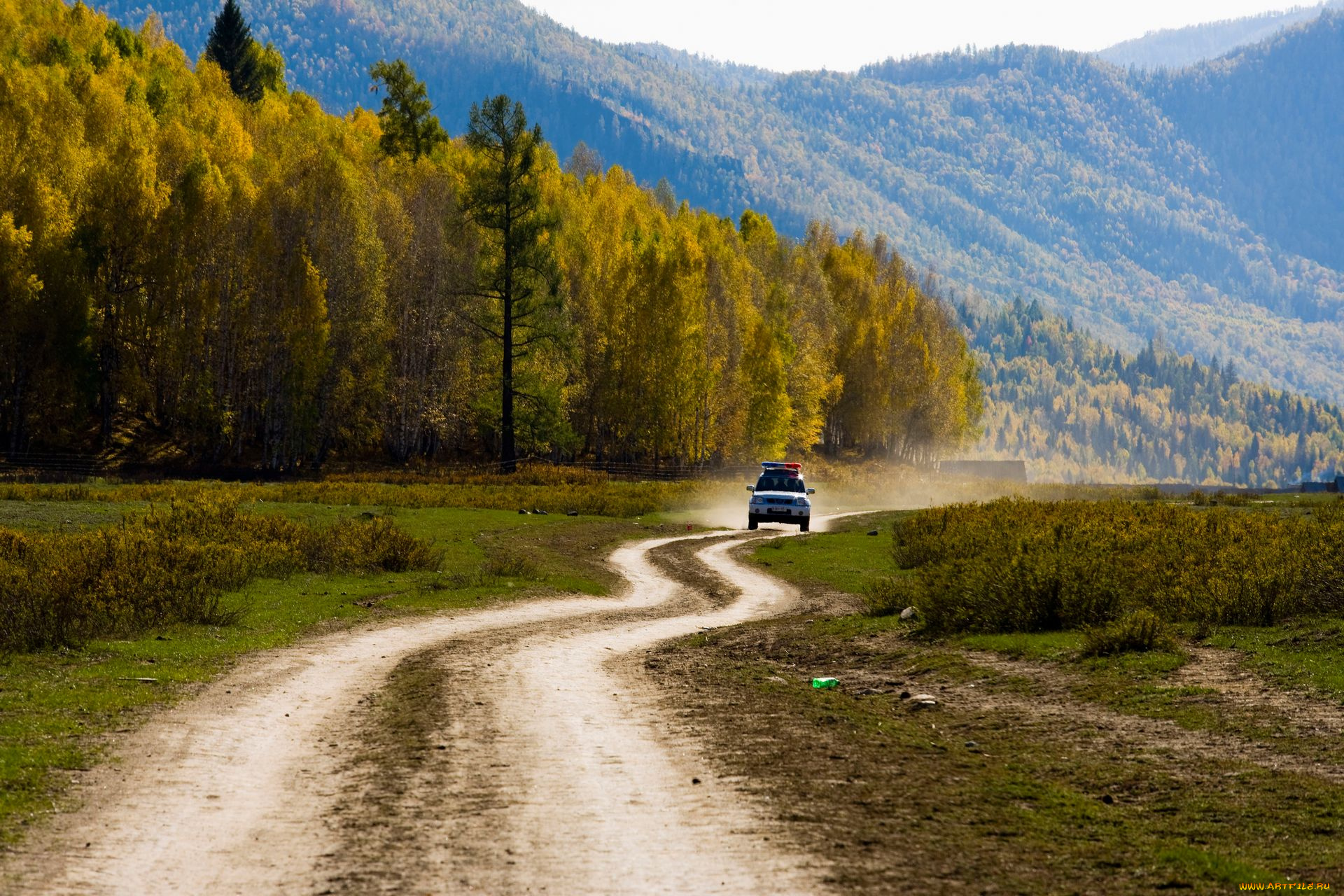 природа, дороги, лес, авто, горы