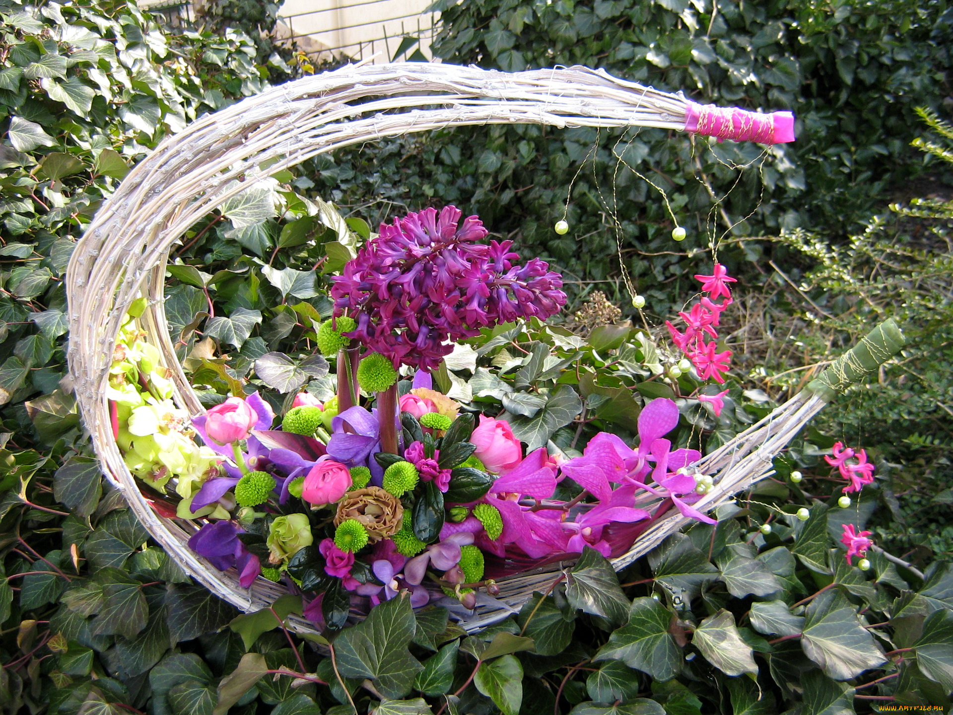 цветы, букеты, композиции, букет