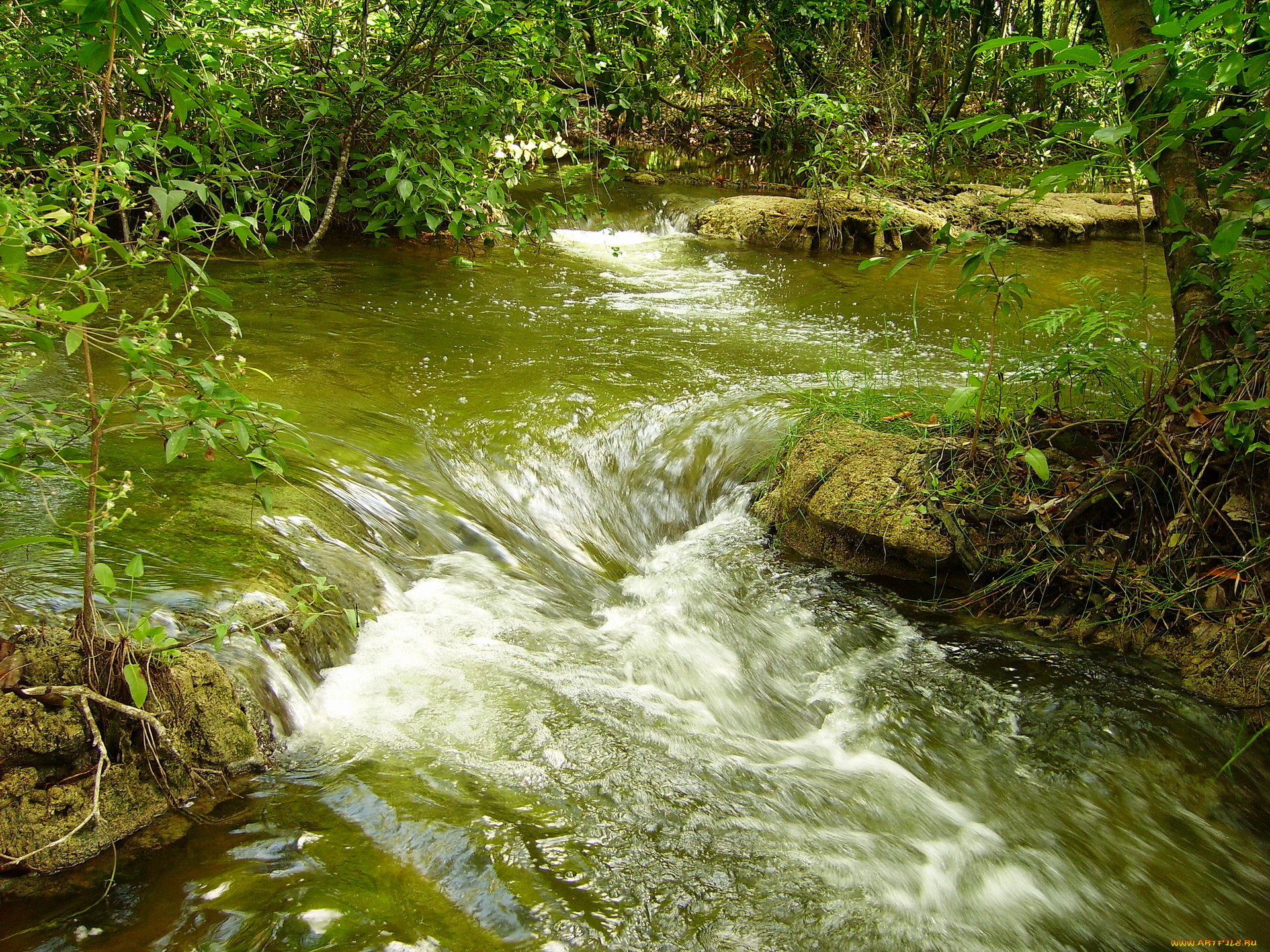 мексика, канделария, природа, реки, озера, река, поток