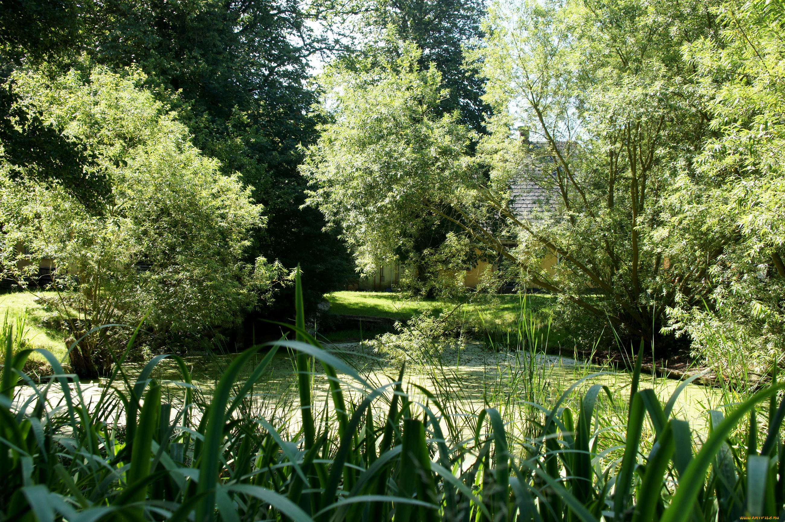 дания, krusа, природа, парк, река