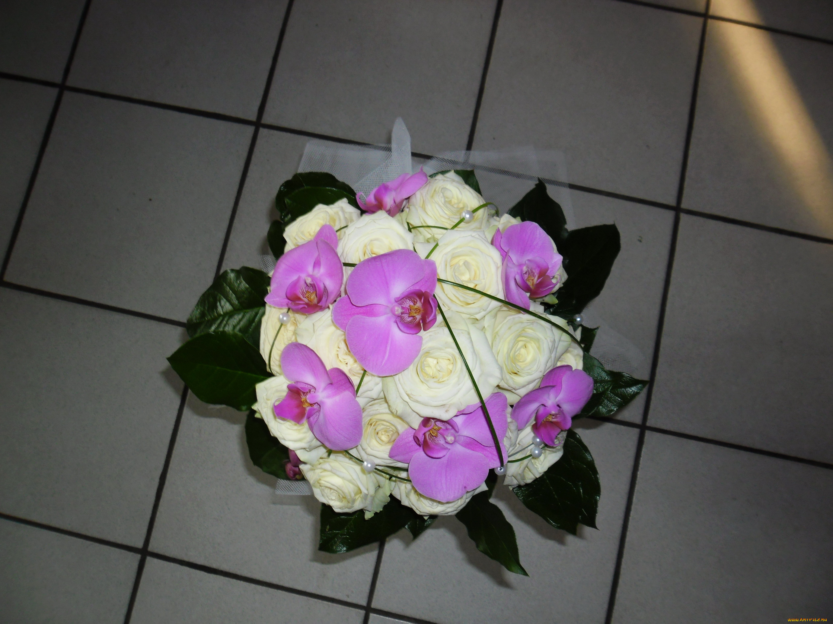 цветы, букеты, композиции, букет, розы