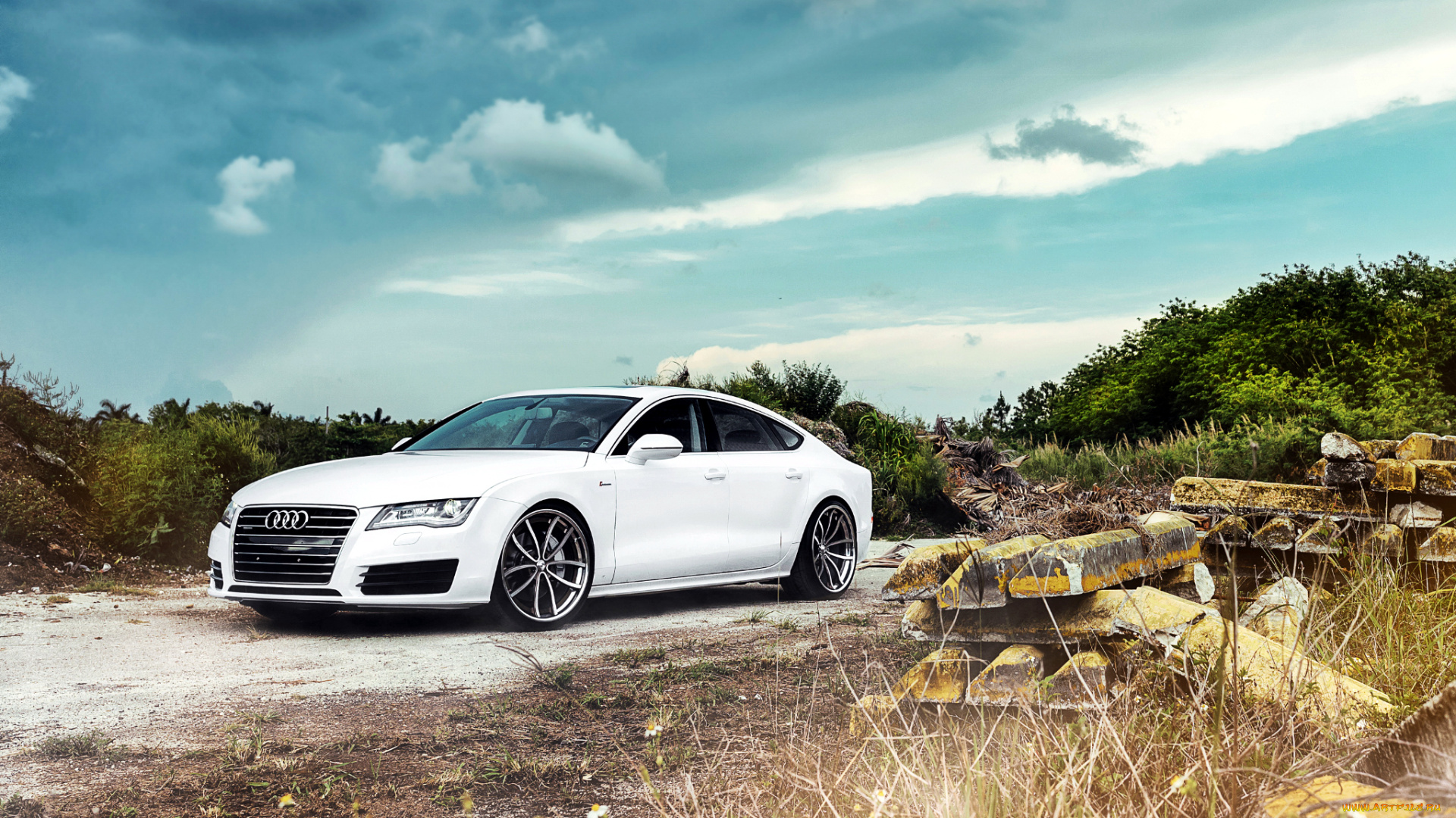 audi, a7, автомобили, германия, легковые, концерн, volkswagen, group, ag