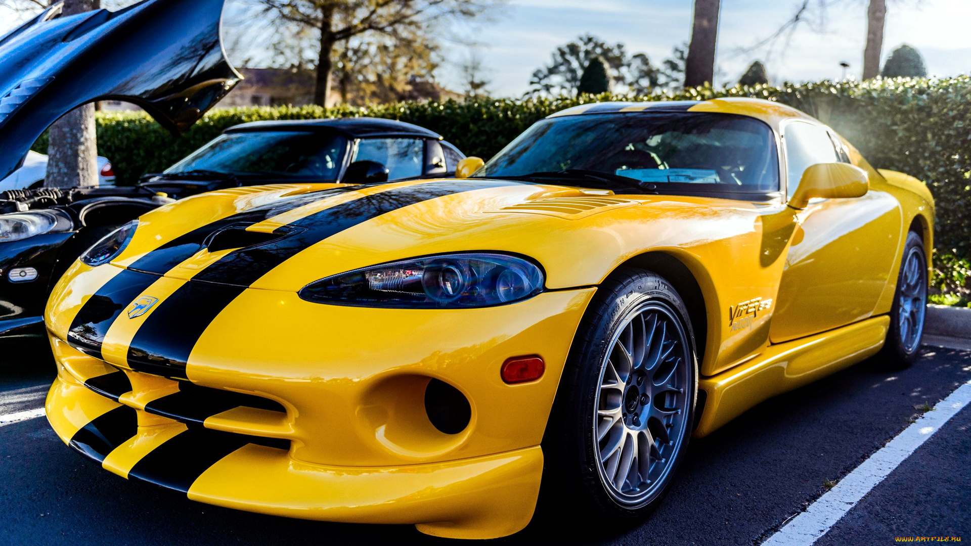 dodge, viper, автомобили, выставки, уличные, фото, сша, коммерческие, легковые, chrysler, group, llc