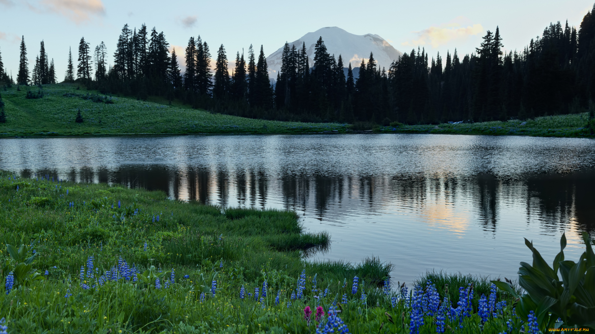tipsoo, lake, mount, rainier, national, park, природа, реки, озера, гора, вулкан, рейнир, washington, озеро, типсу