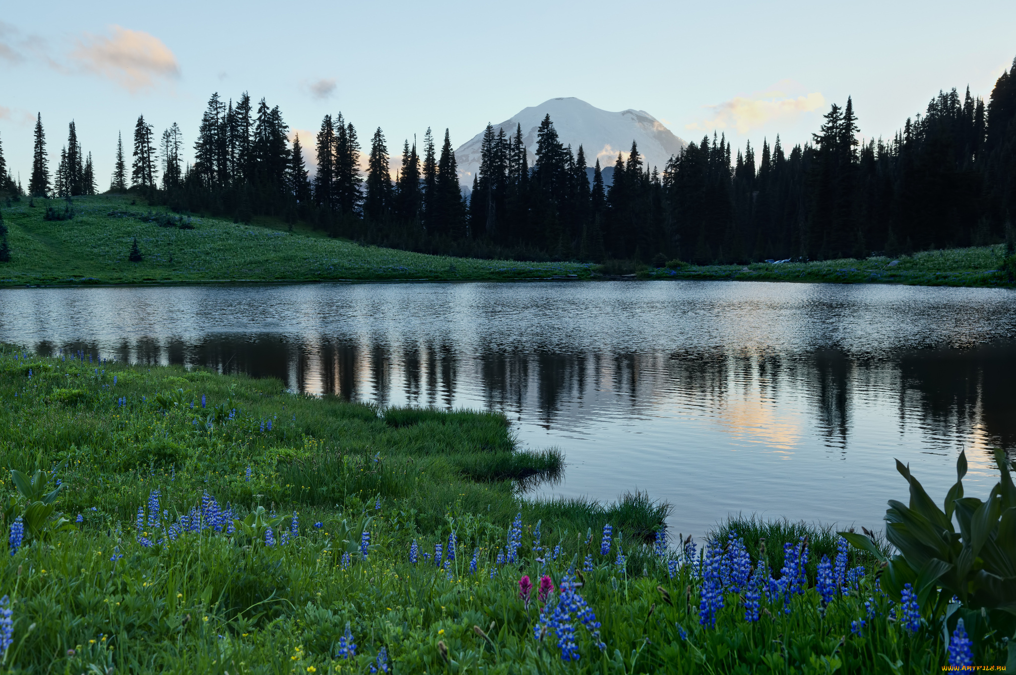 tipsoo, lake, mount, rainier, national, park, природа, реки, озера, гора, вулкан, рейнир, washington, озеро, типсу