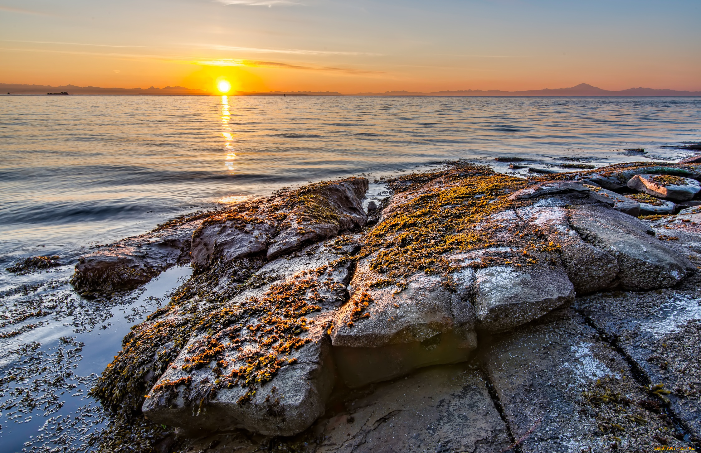 природа, восходы, закаты