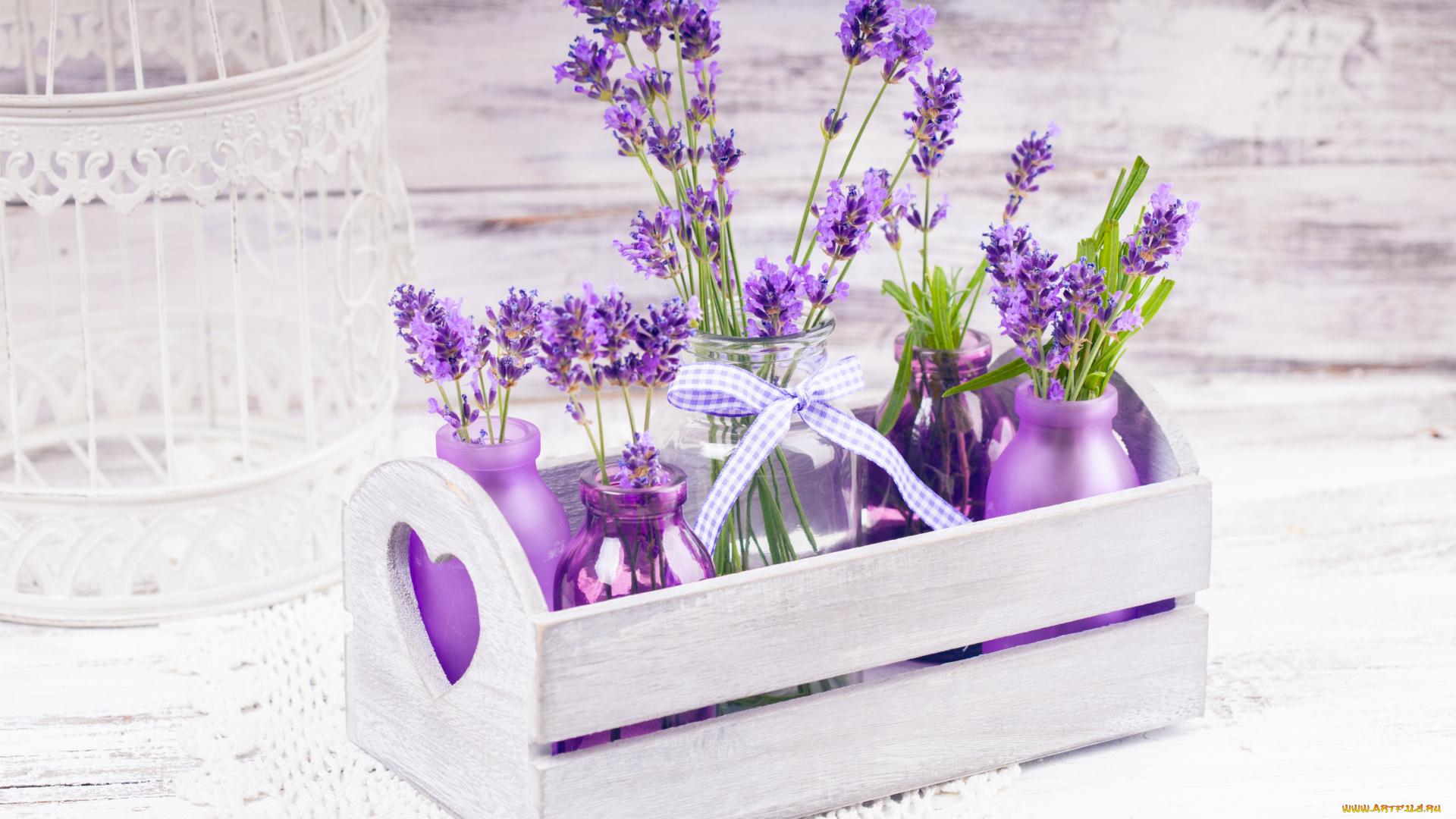 цветы, лаванда, бутылочки, ящик, клетка