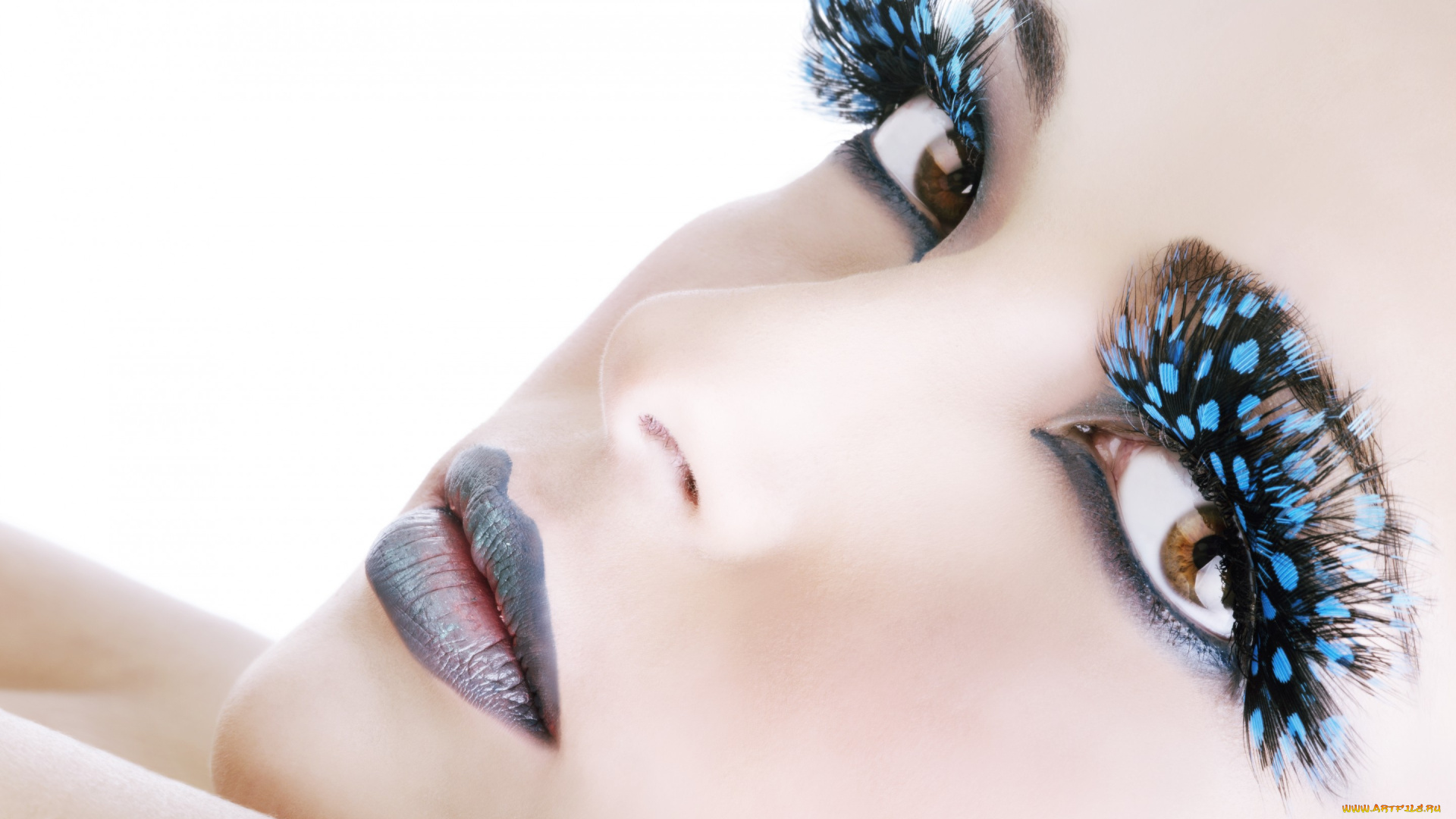 девушки, -unsort, , лица, , портреты, лицо, губы, девушка, перья, ресницы, макияж, фон