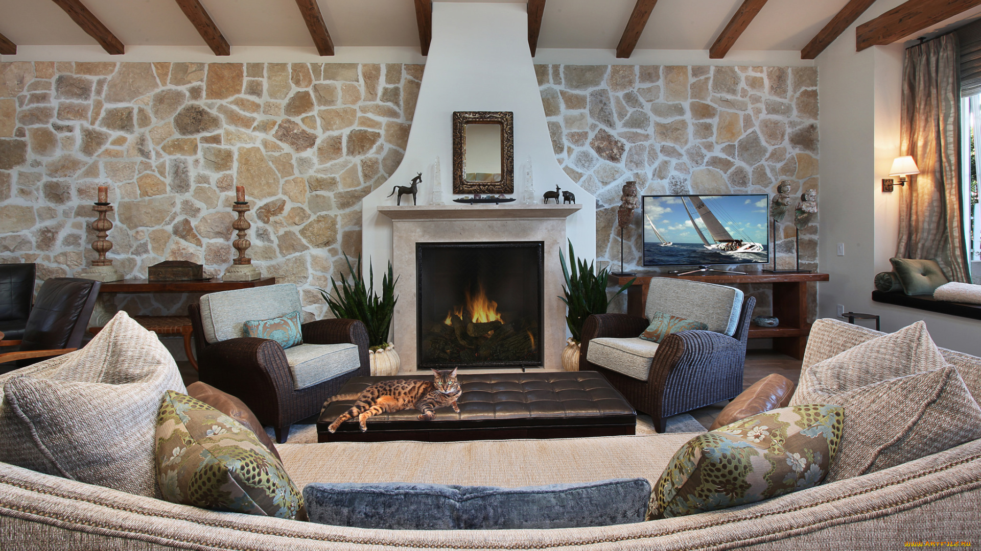 интерьер, камины, диван, подушки, кот, камин