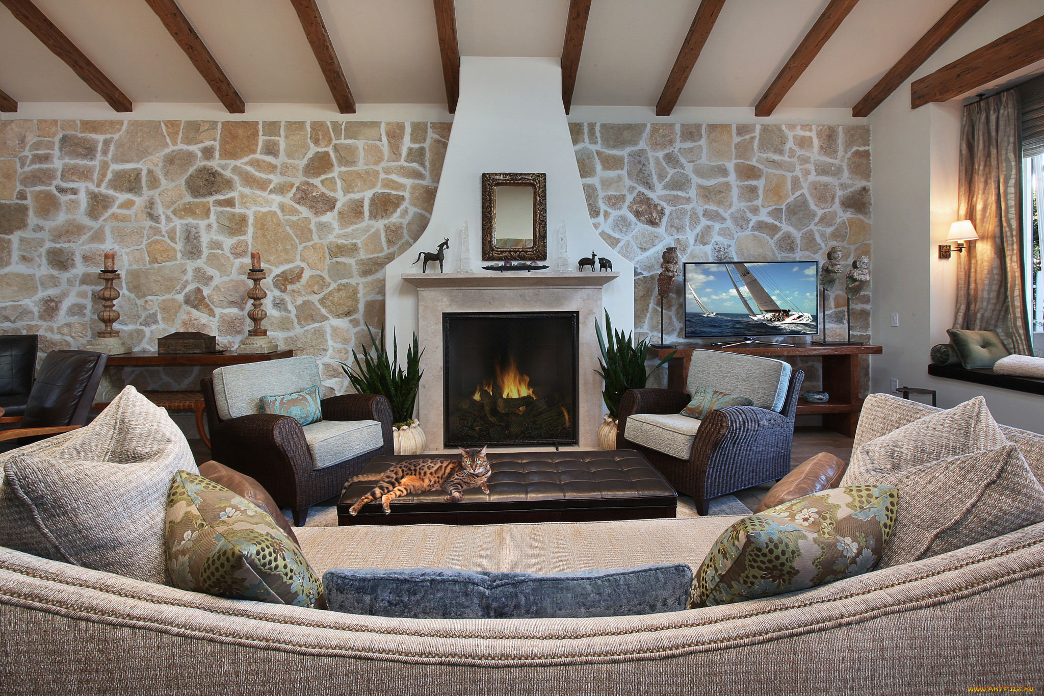 интерьер, камины, диван, подушки, кот, камин