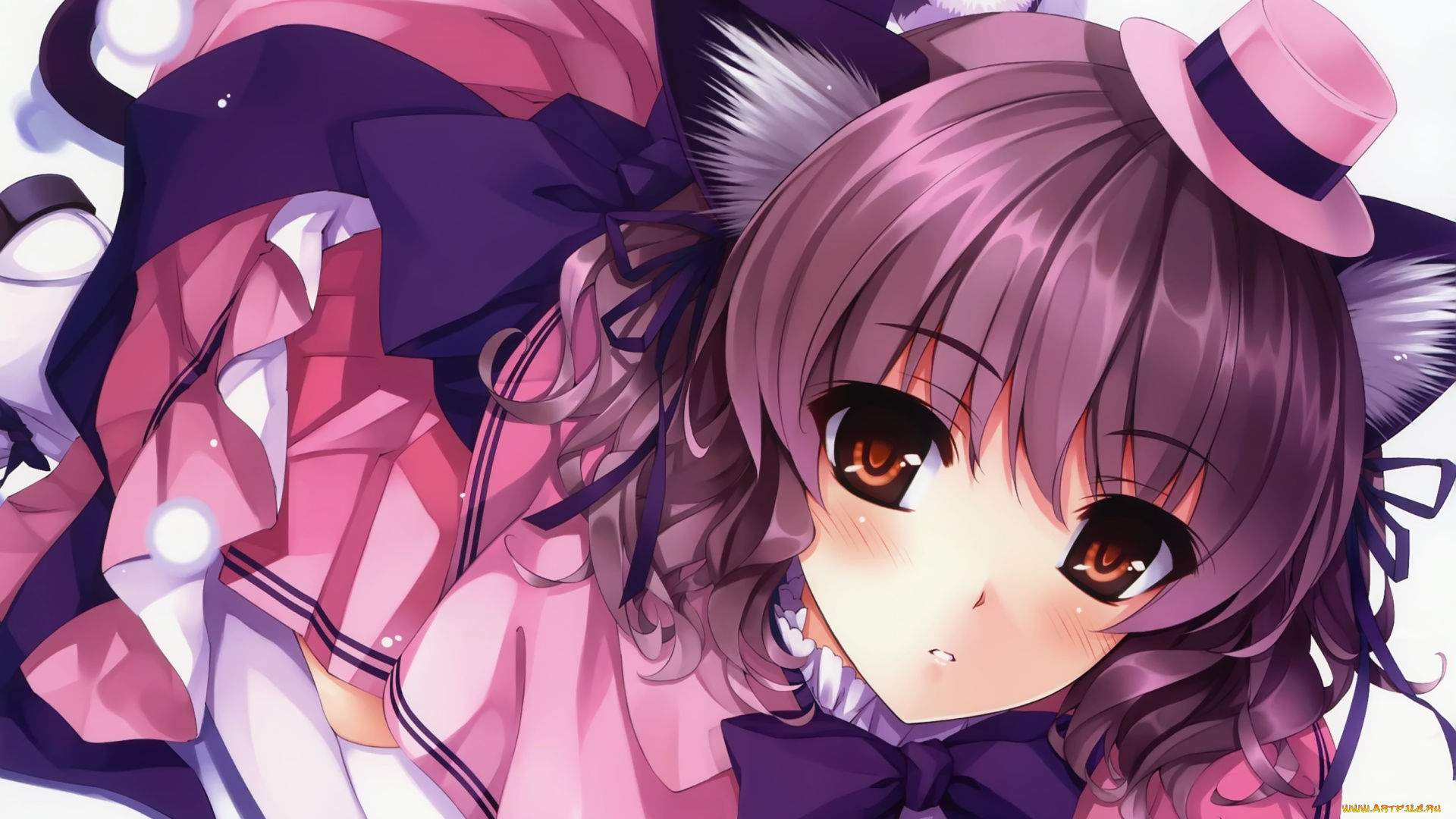 аниме, kurehito, misaki, , artbook, девушка, misaki, kurehito, неко, взгляд, котята