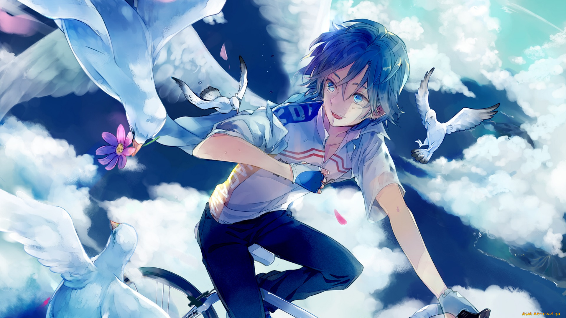 аниме, yowamushi, pedal, haiko, арт, велосипед, радость, лепестки, природа, птицы, цветы, небо, облака, парень, sangaku, manami, yowamushi, pedal, kusub