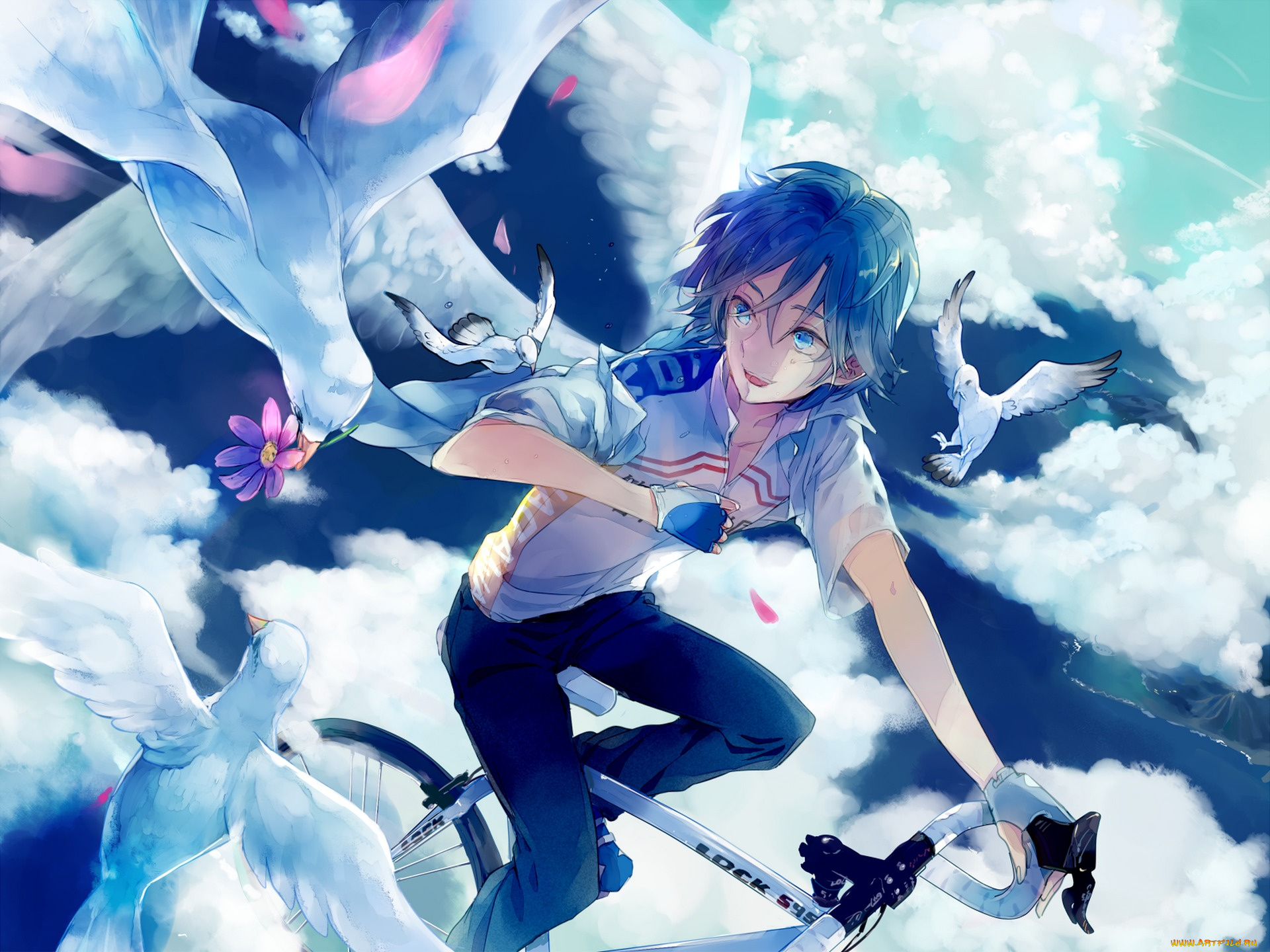 аниме, yowamushi, pedal, haiko, арт, велосипед, радость, лепестки, природа, птицы, цветы, небо, облака, парень, sangaku, manami, yowamushi, pedal, kusub
