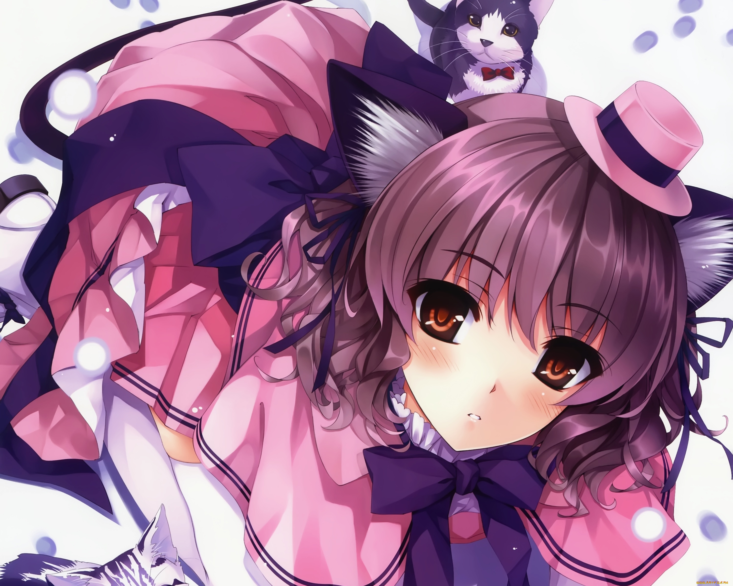 аниме, kurehito, misaki, , artbook, девушка, misaki, kurehito, неко, взгляд, котята