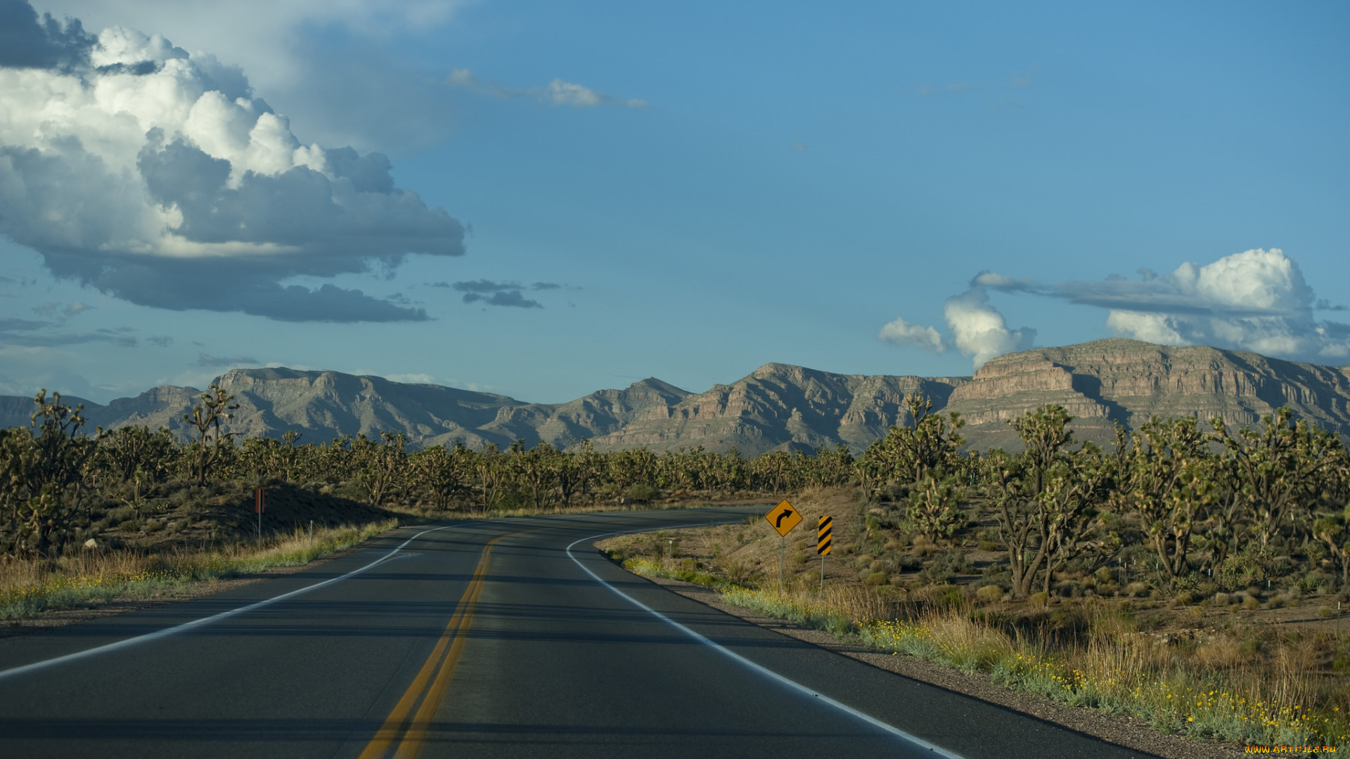 природа, дороги, тракт