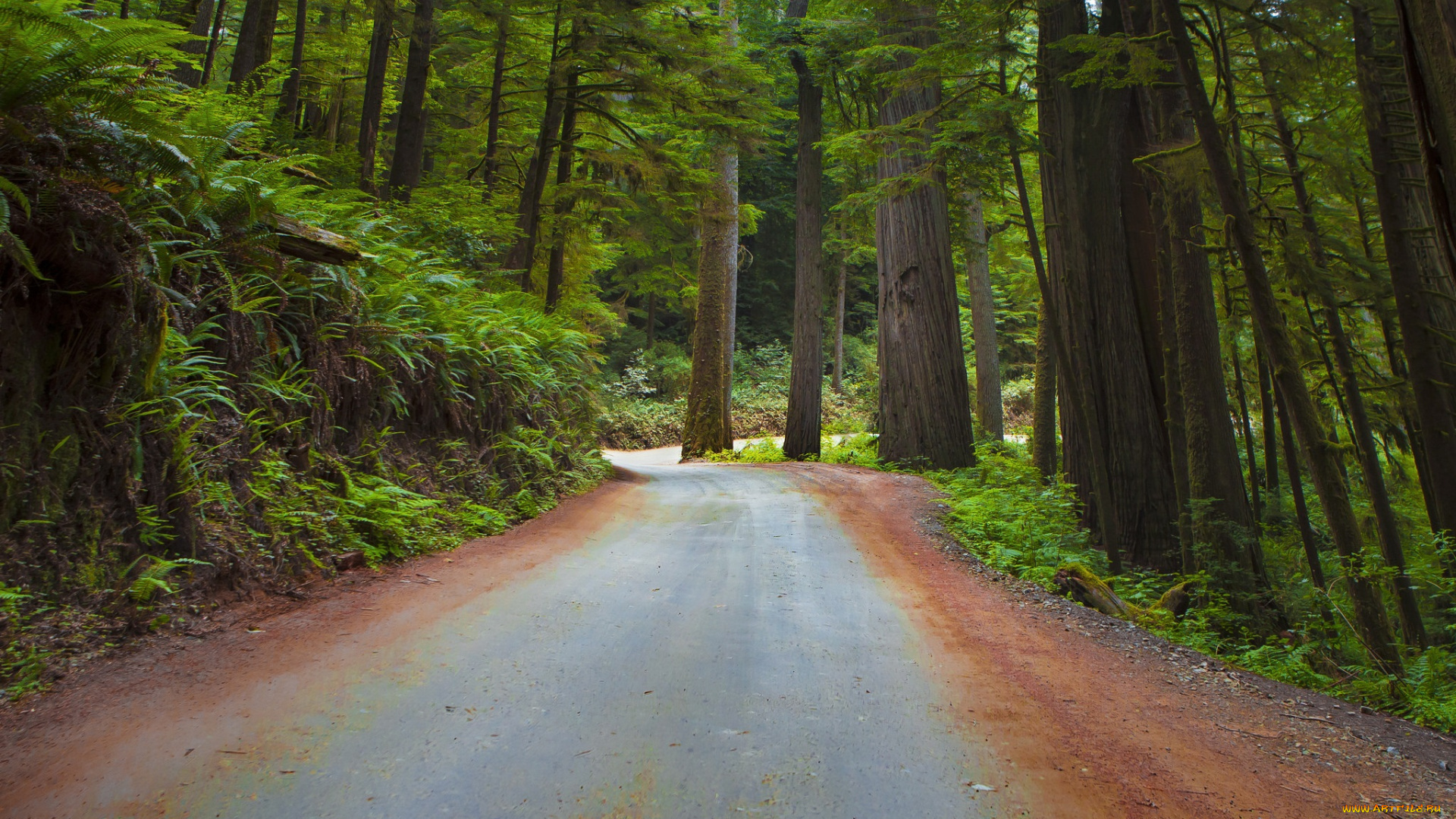 природа, дороги, тракт