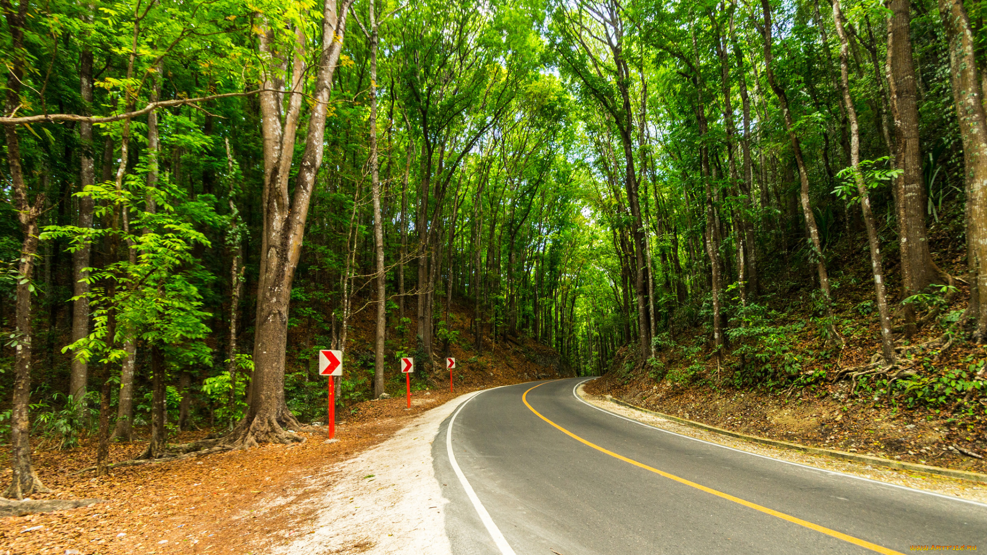 природа, дороги, тракт