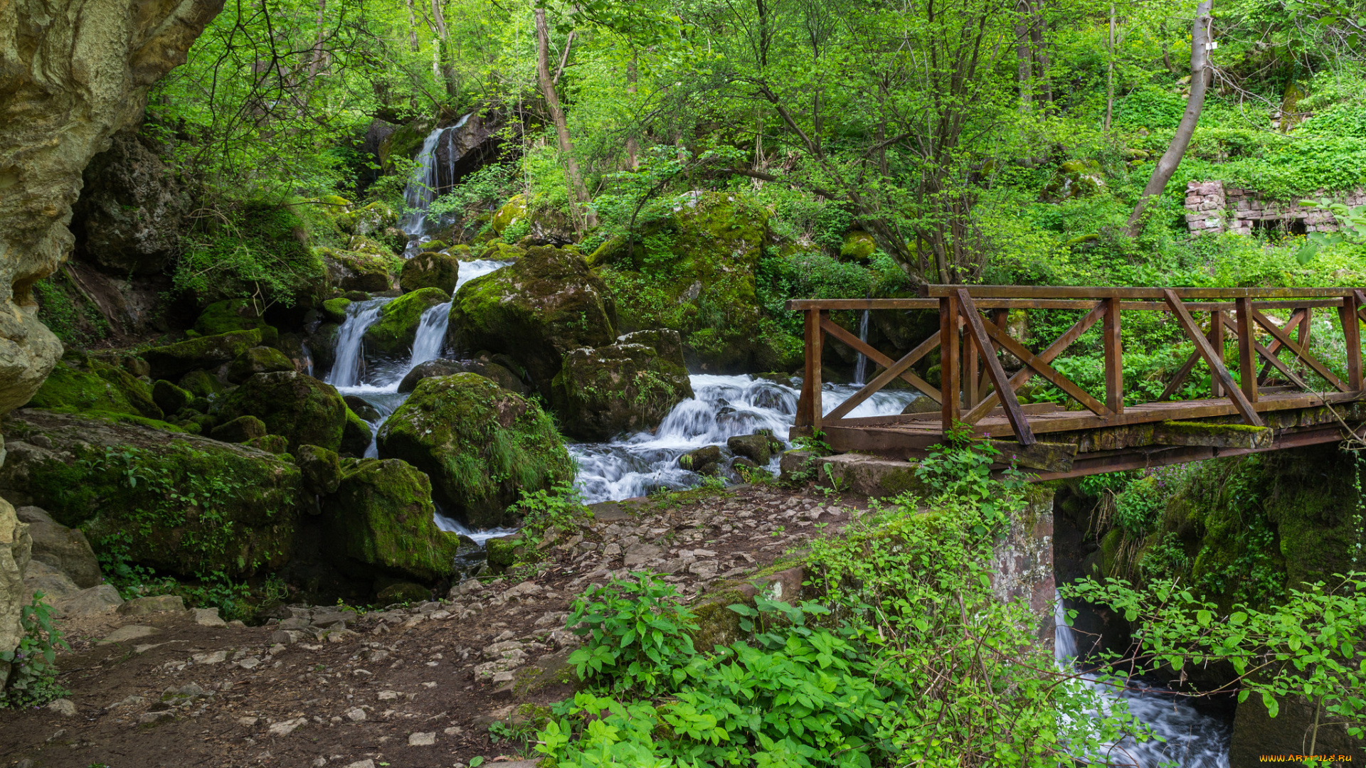 природа, реки, озера, лес, река