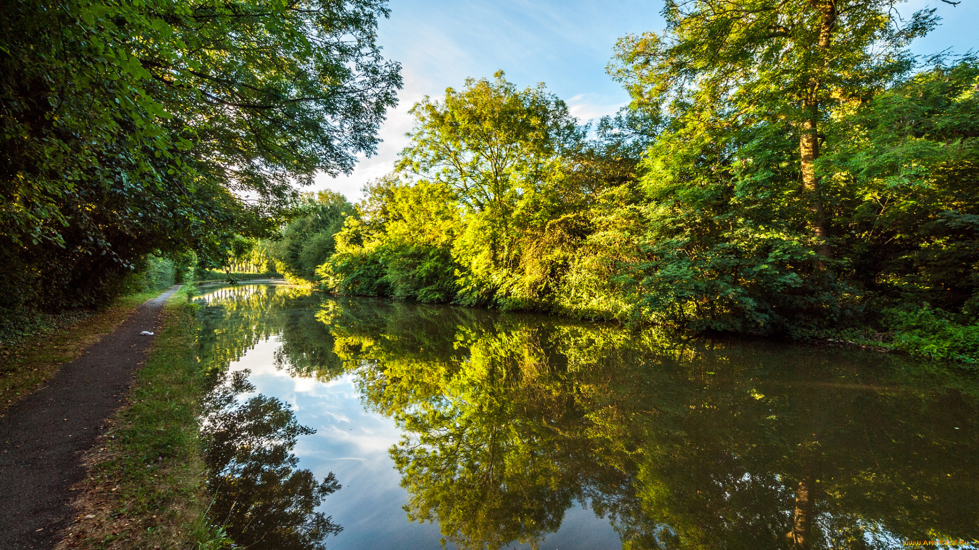 природа, реки, озера, река, лес