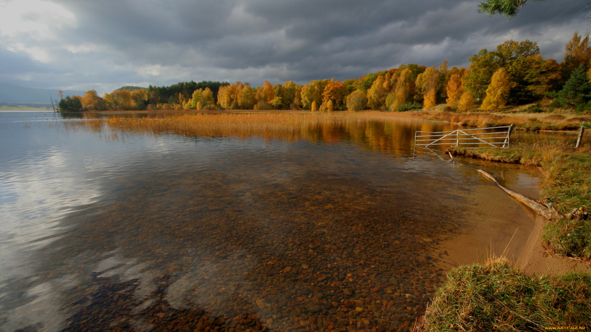 природа, реки, озера, река, лес