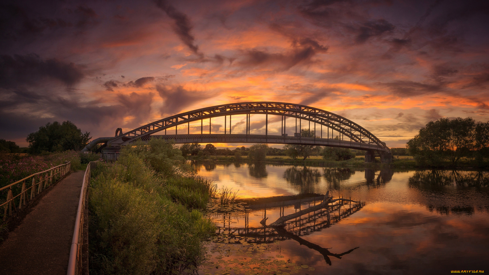 природа, реки, озера, река, лес